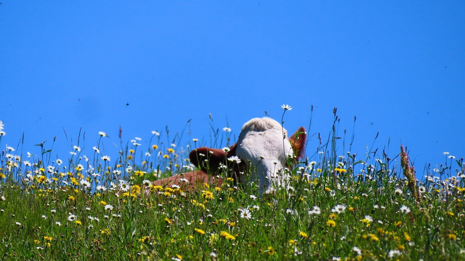 Komatha En Kulamatha