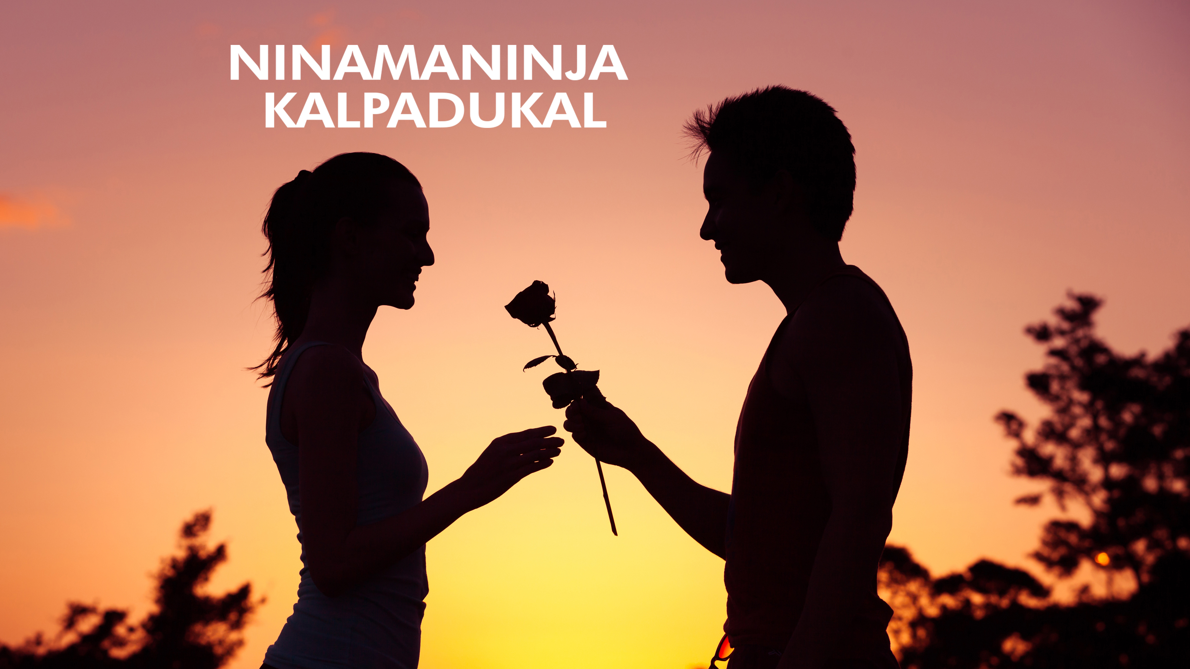 Ninamaninja Kalpadukal Online