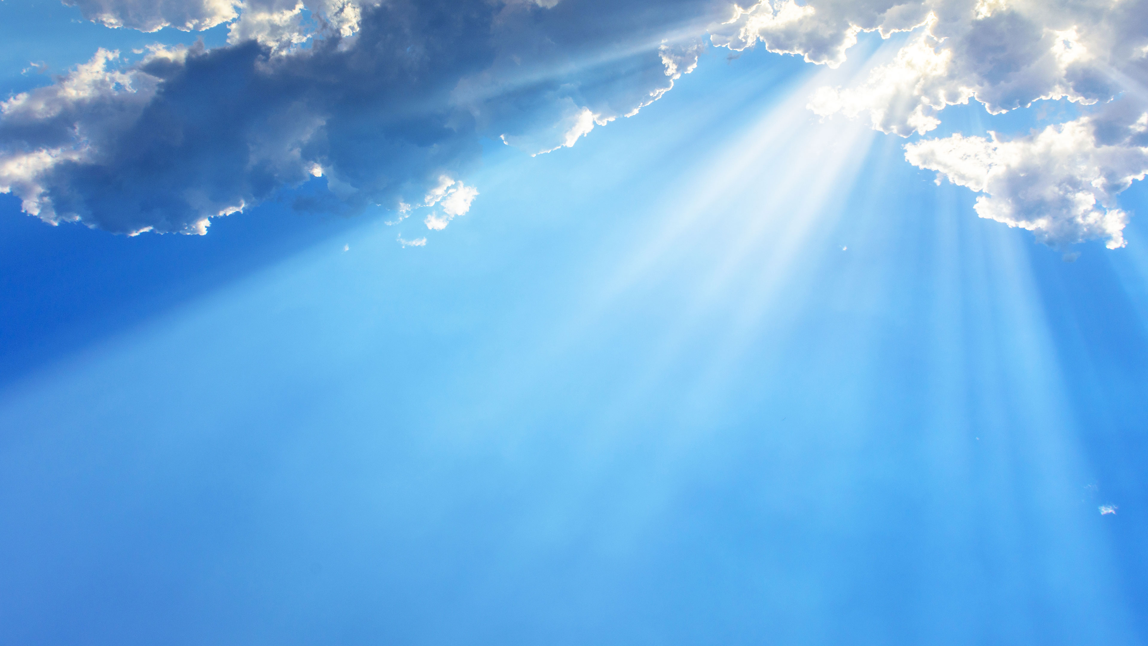 Arjita Bramhotsavam Live Online