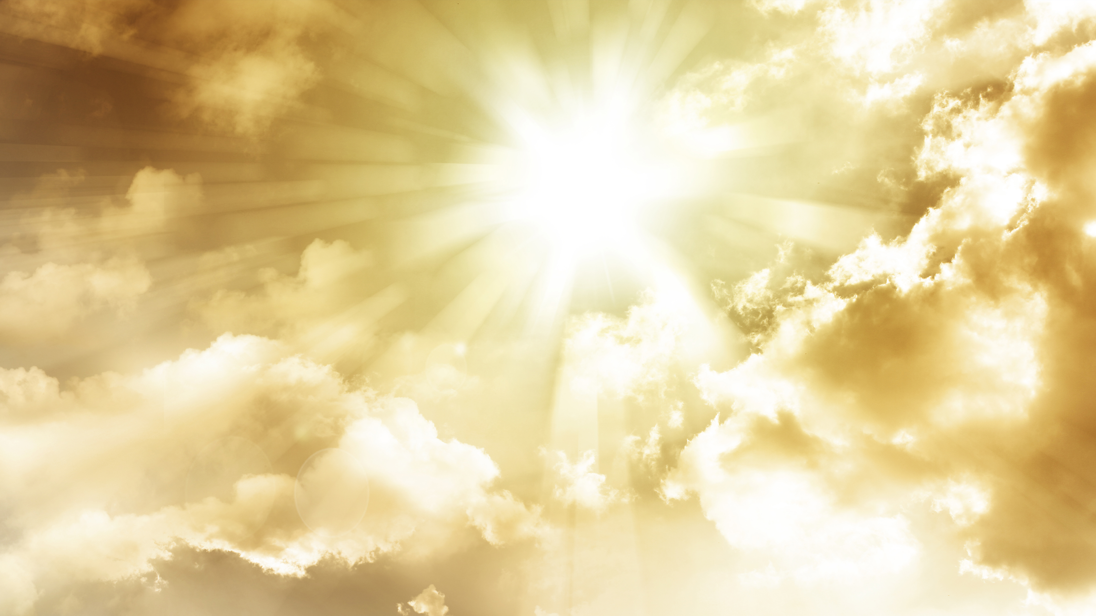 S. D Seva Live Online