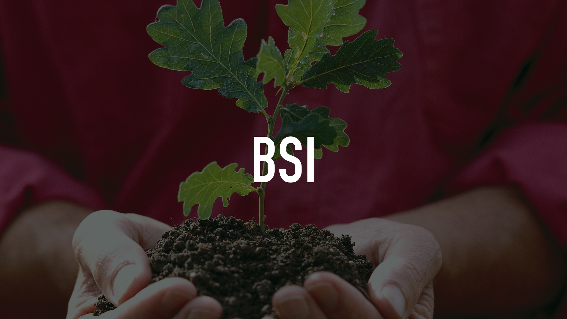 BSI Online