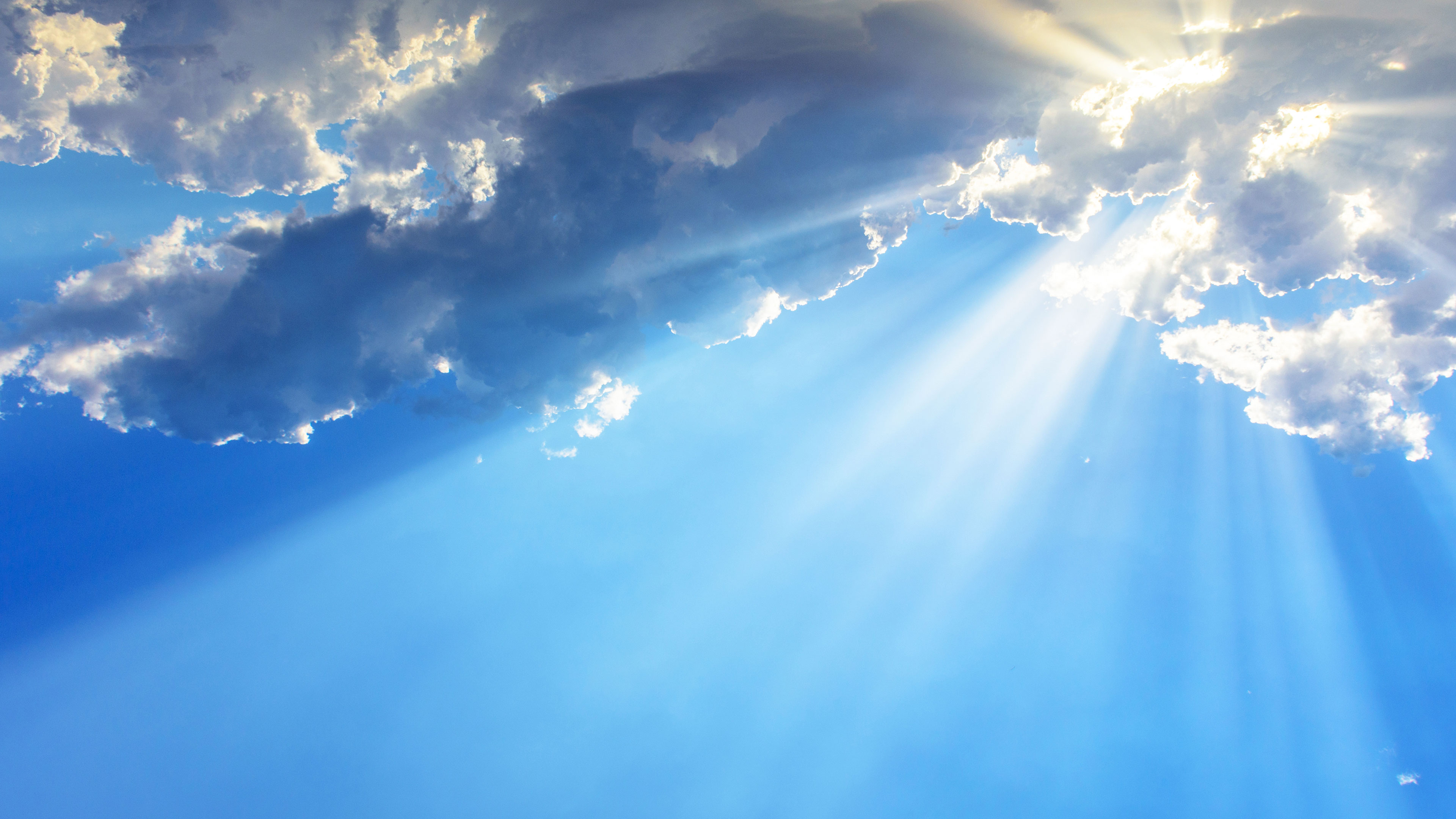 Sri Padmavathi Ammavari Kalyanam Online