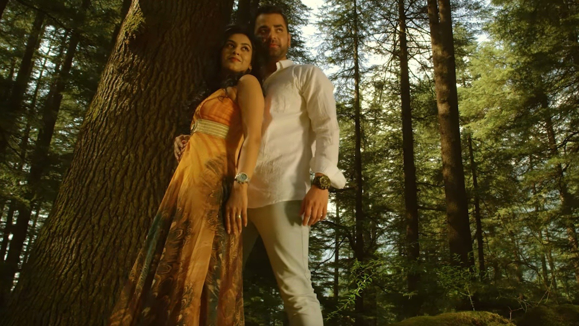 The Great Sardaar Online