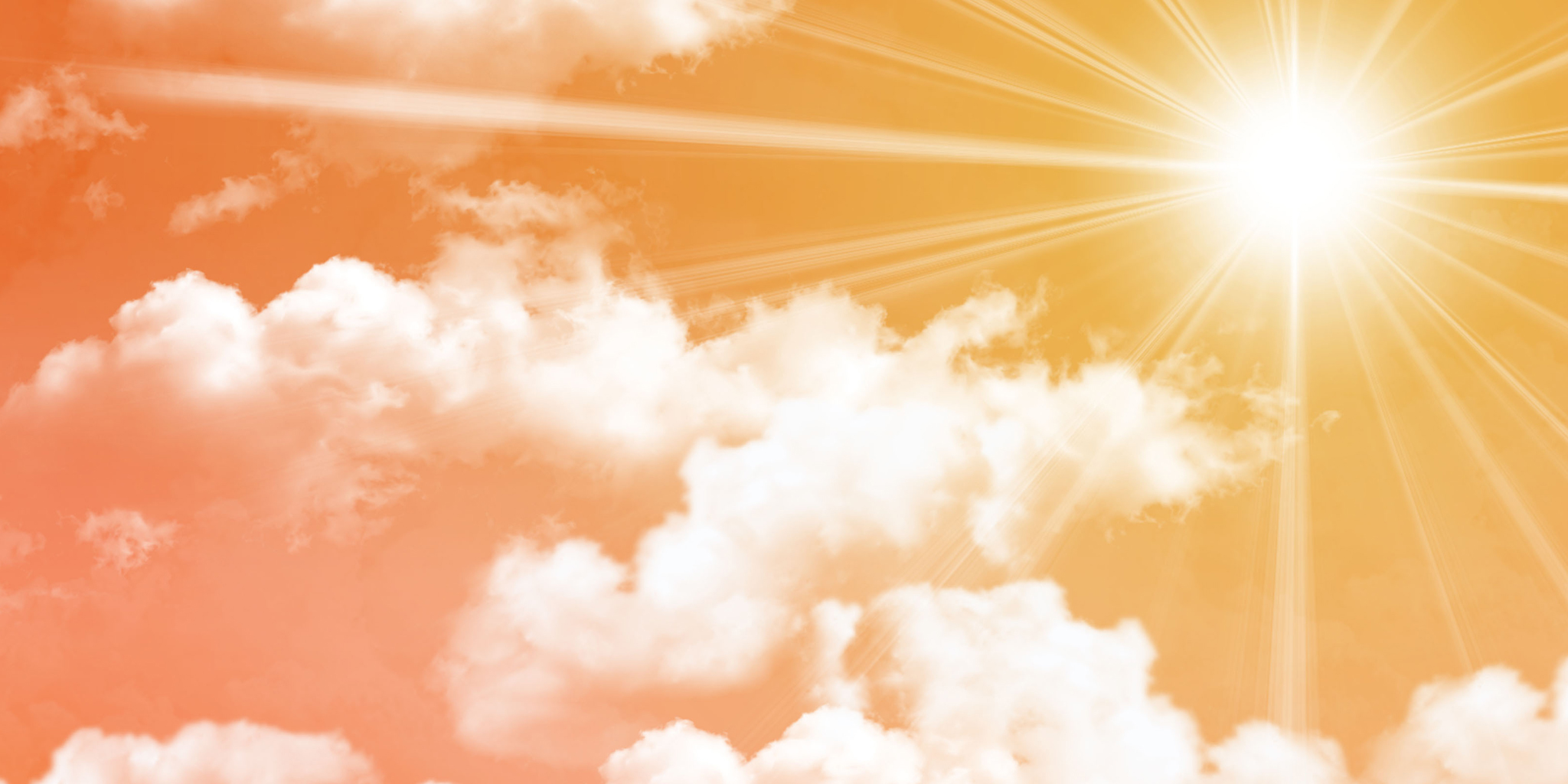 Sri Padmavati Ammavari Kalyanam - Tiruchanoor Online