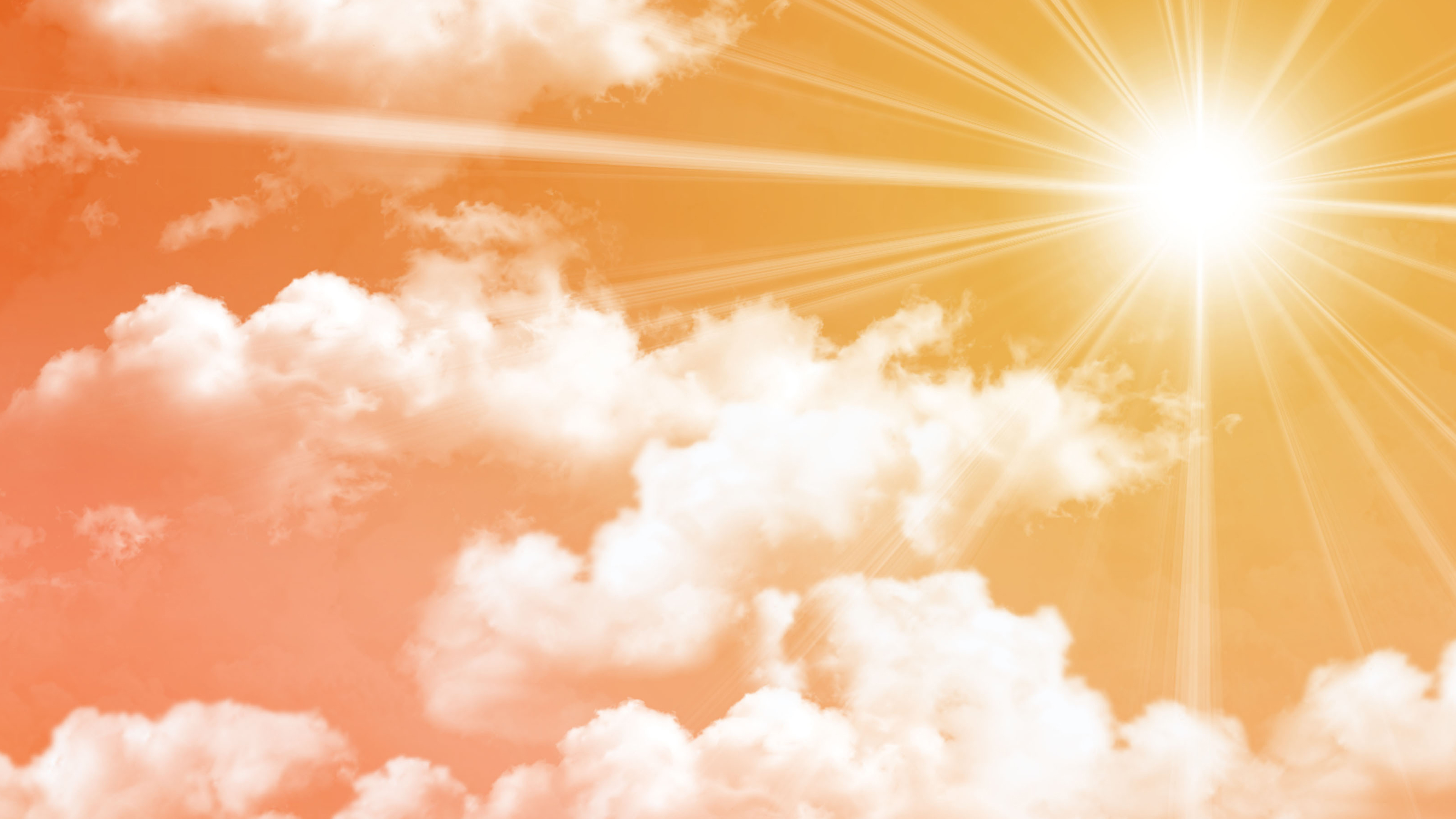 Sri Padmavati Ammavari Kalyanam - Tiruchanoor Online