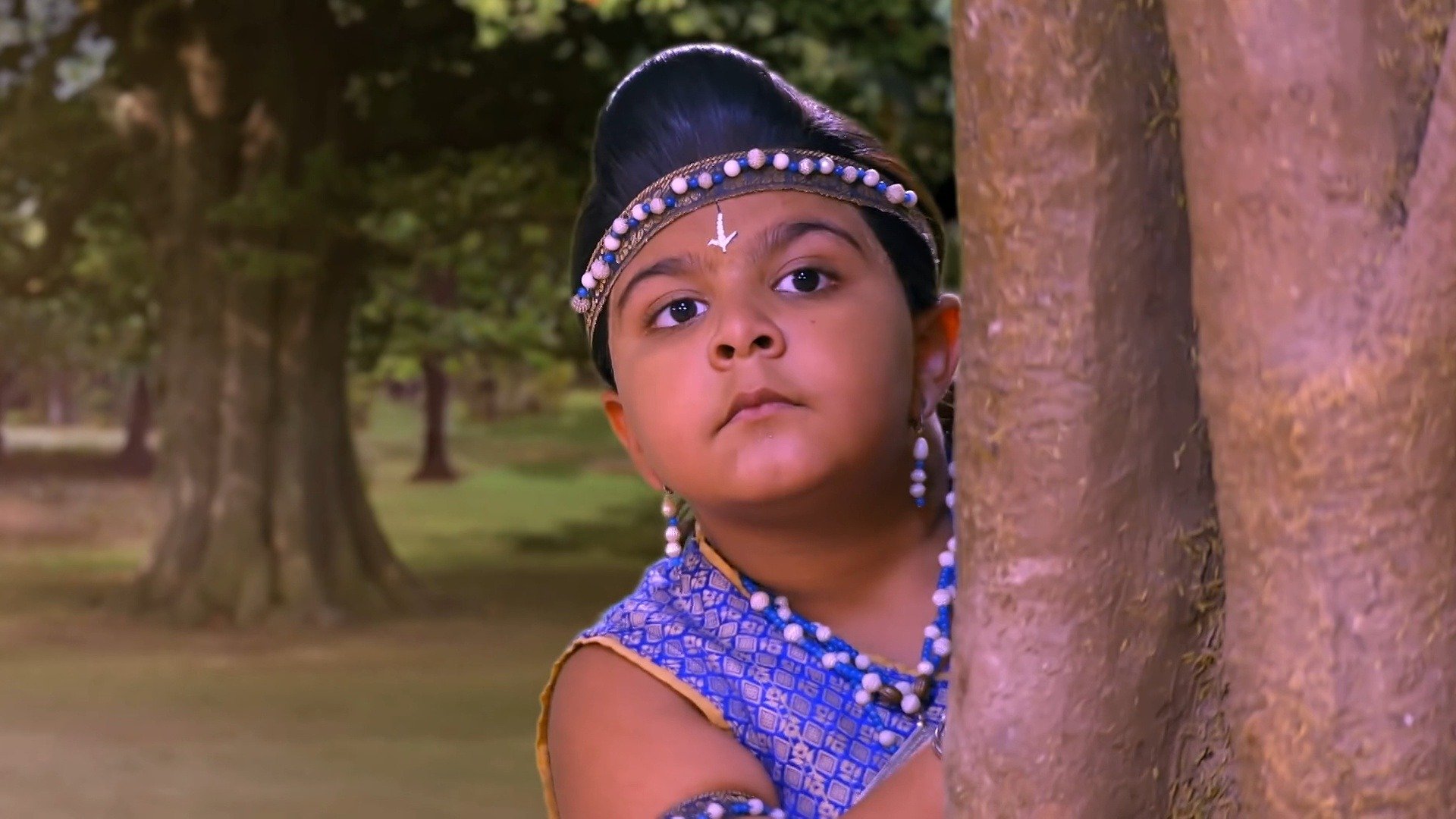 Haathi Ghoda Paal Ki Jai Kanhaiya Laal Ki