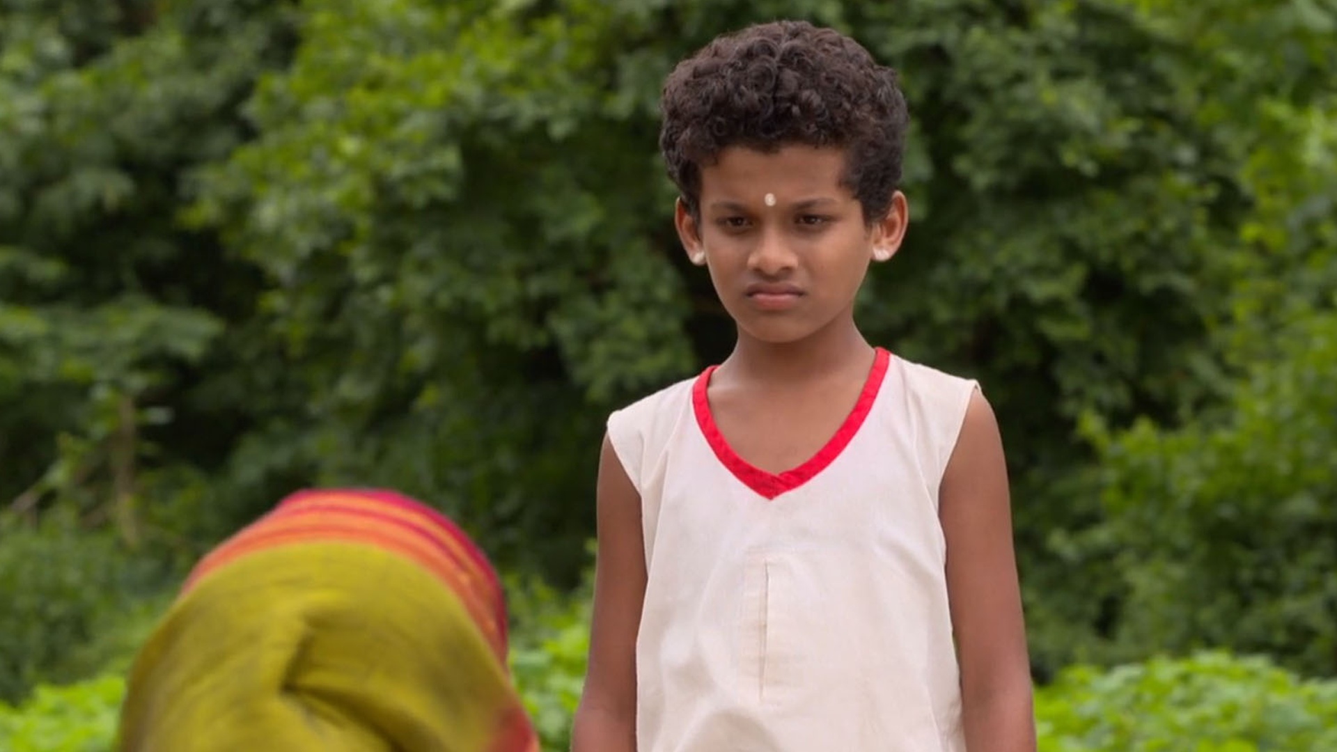 Pavada Purusha Online