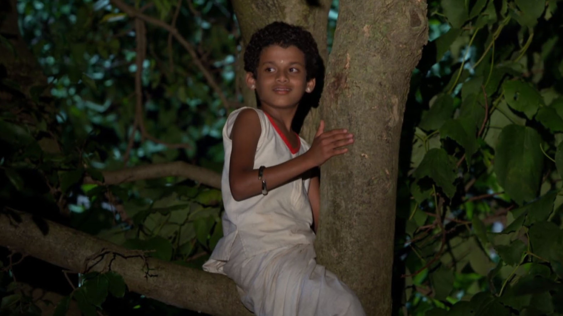 Pavada Purusha Online