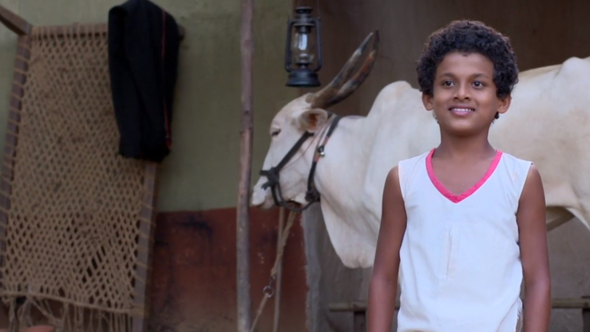 Pavada Purusha Online