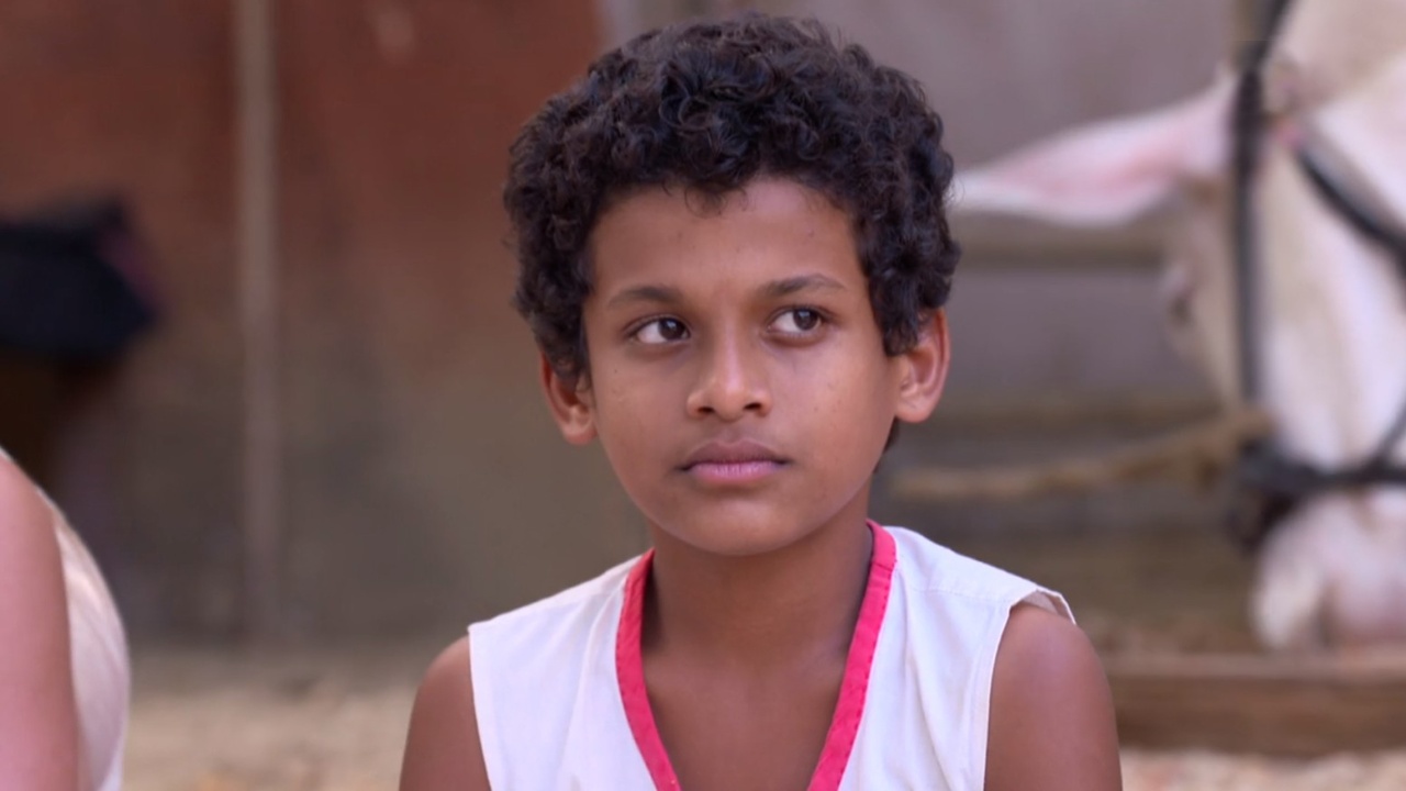 Pavada Purusha Online