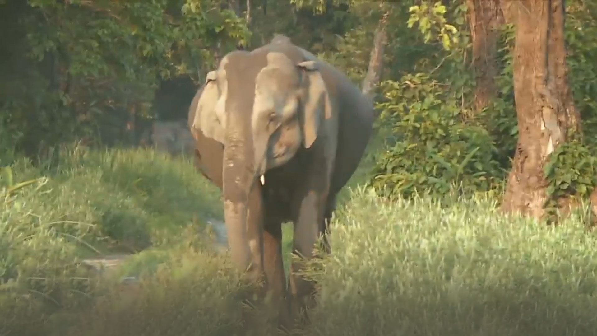 Amazing Northeast Diaries Online