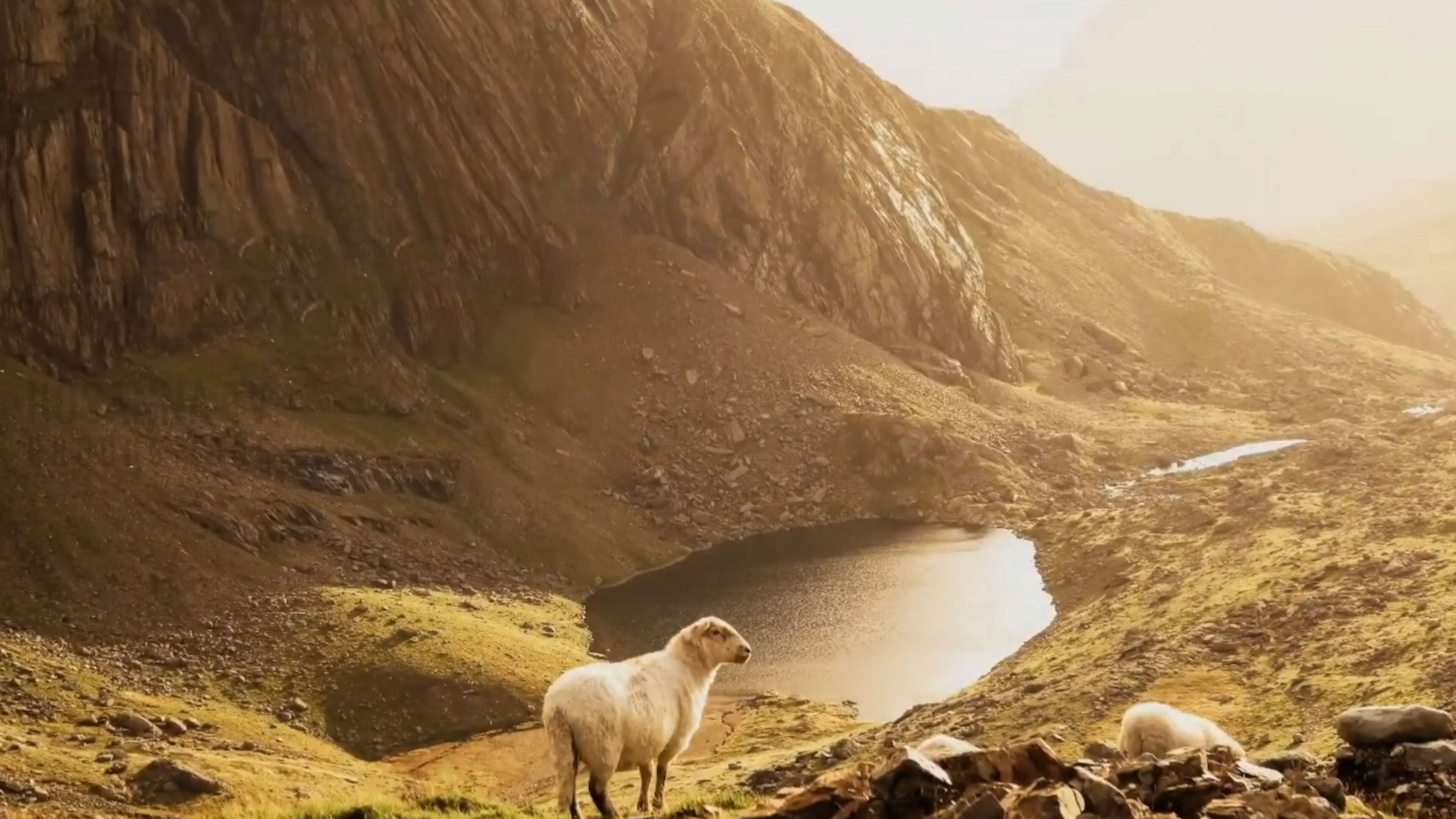 Psalms 23 & Prayers Online