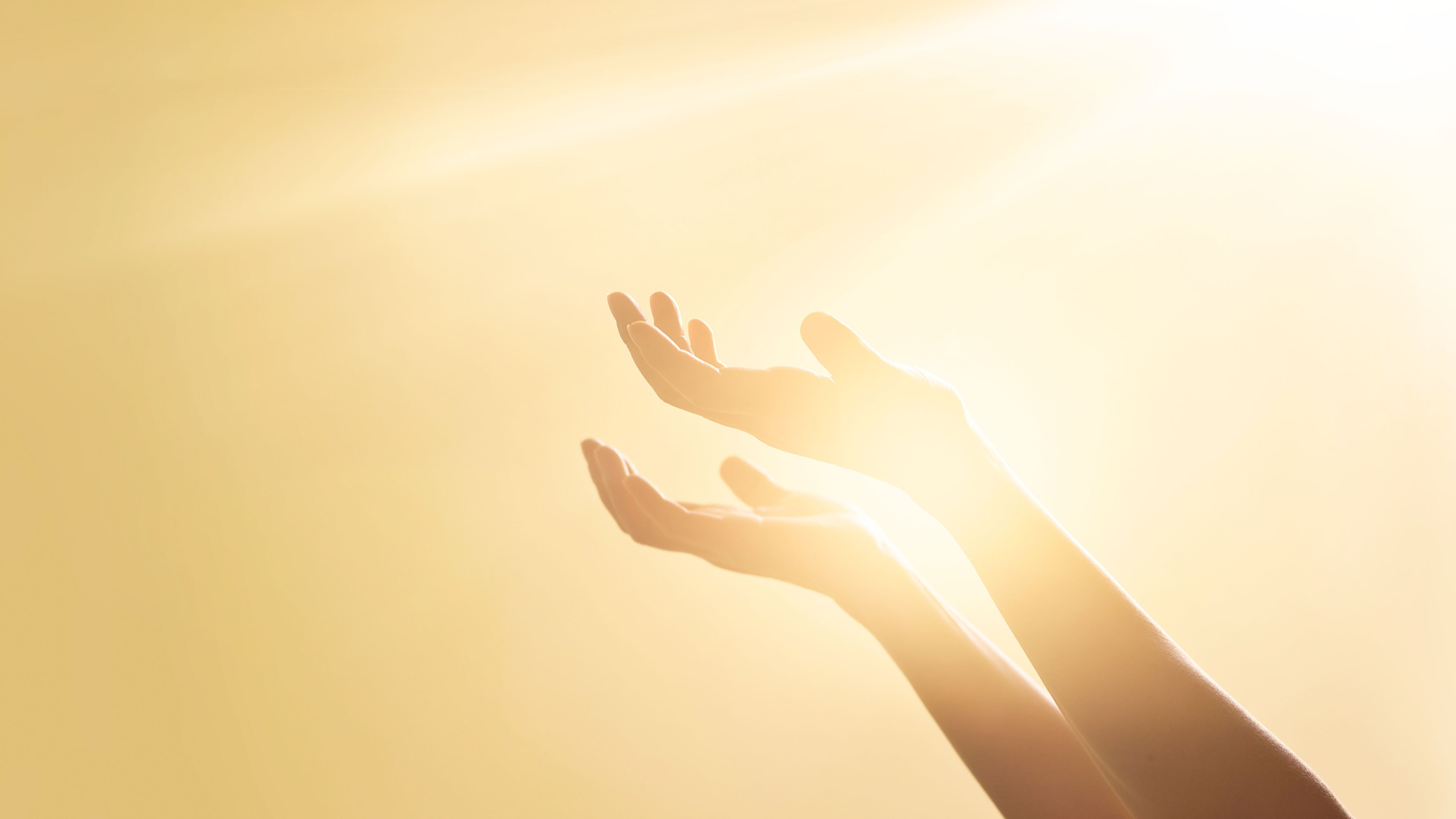 Sri Bhadrakali Abhishekam Online