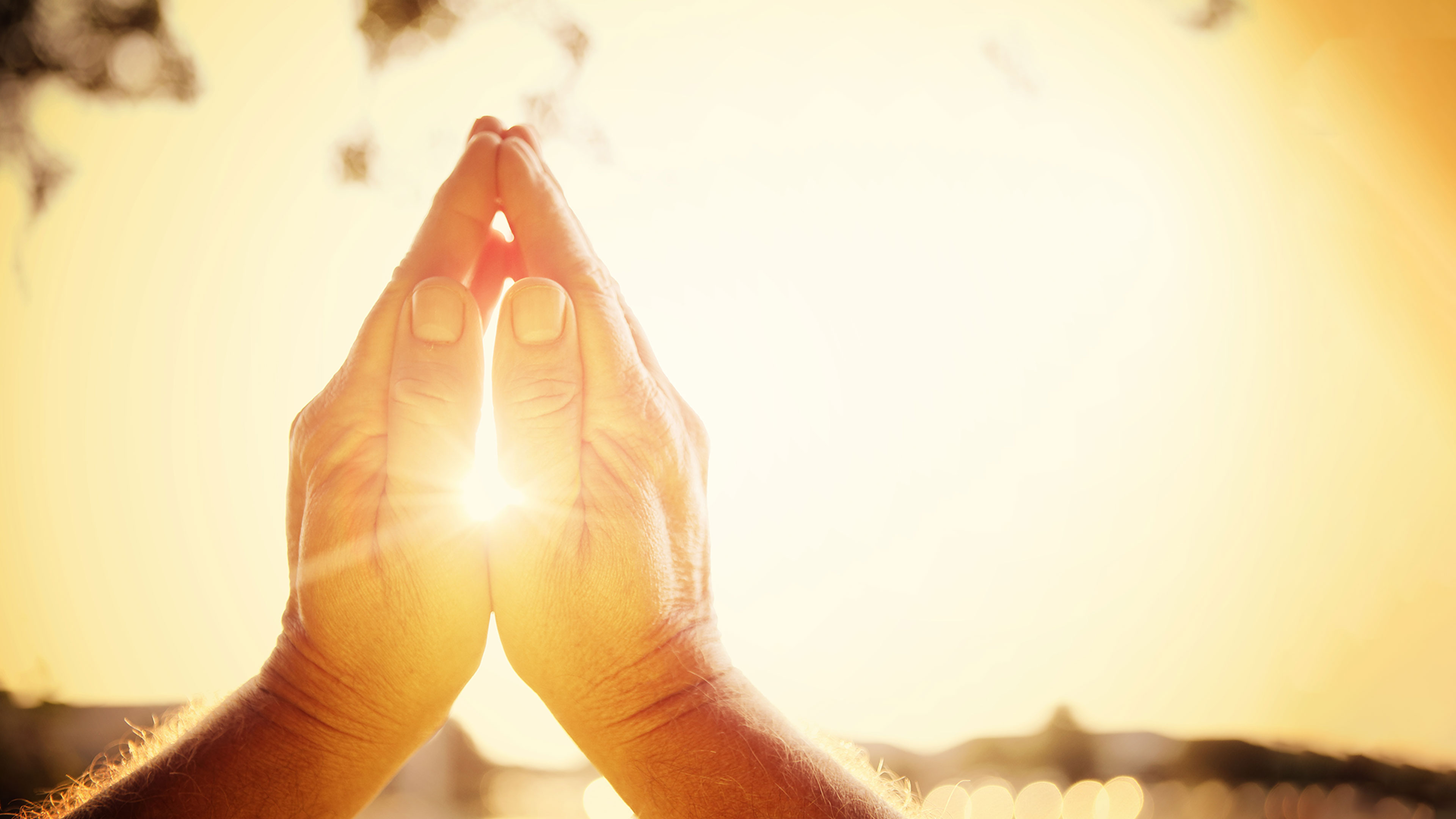 Prarthna Sweekar Ho Online