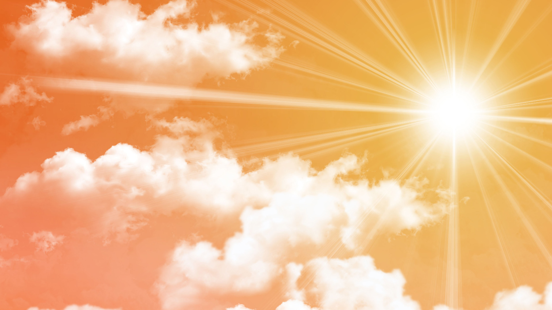 Vishwa Matha Gomatha Online