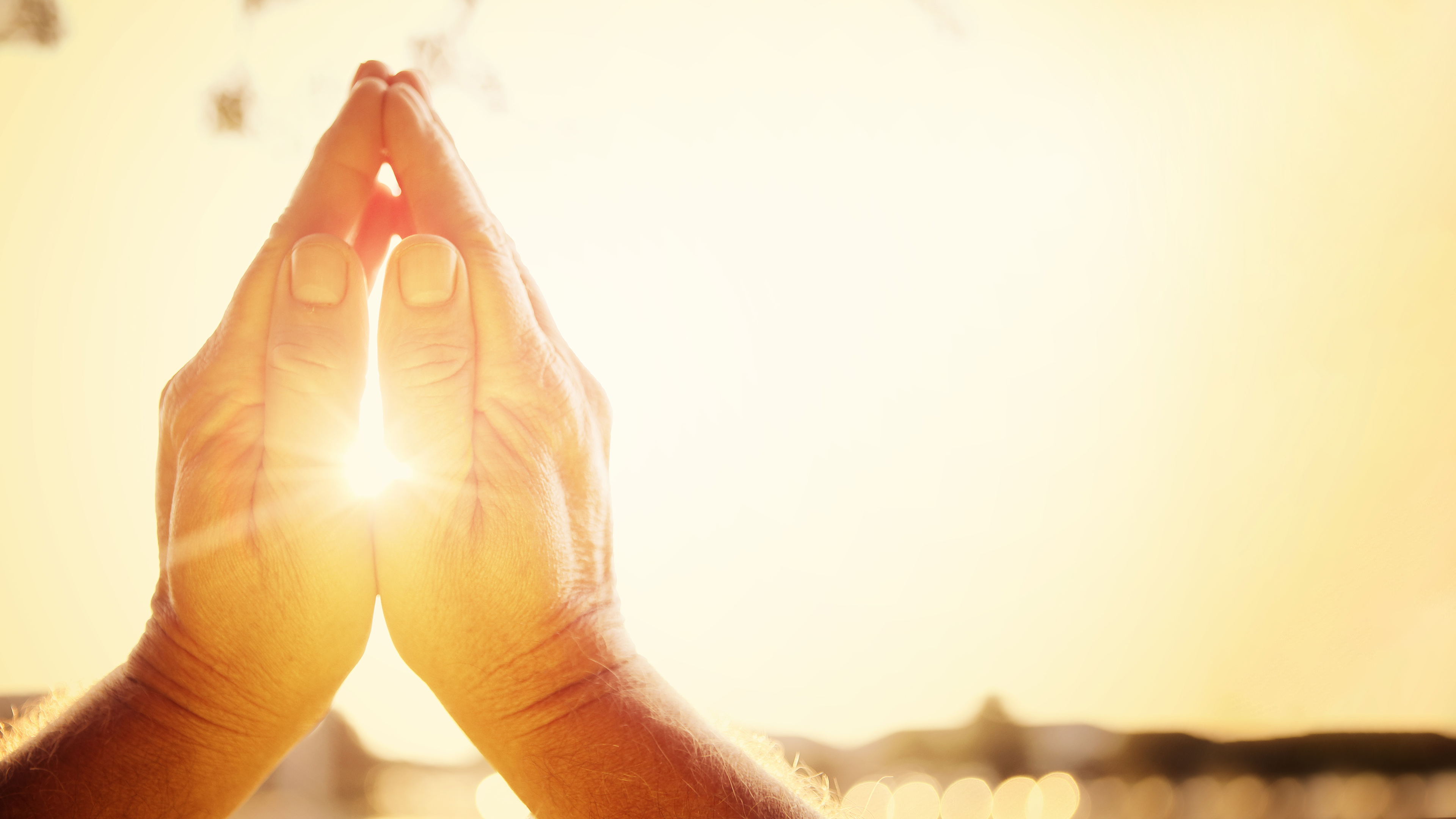 Spiritual Vidya Online