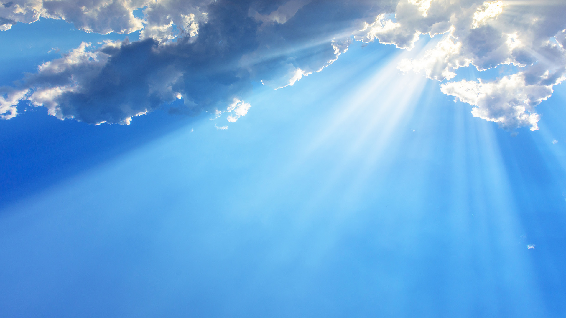 Yamuna Sahyog Samiti Online