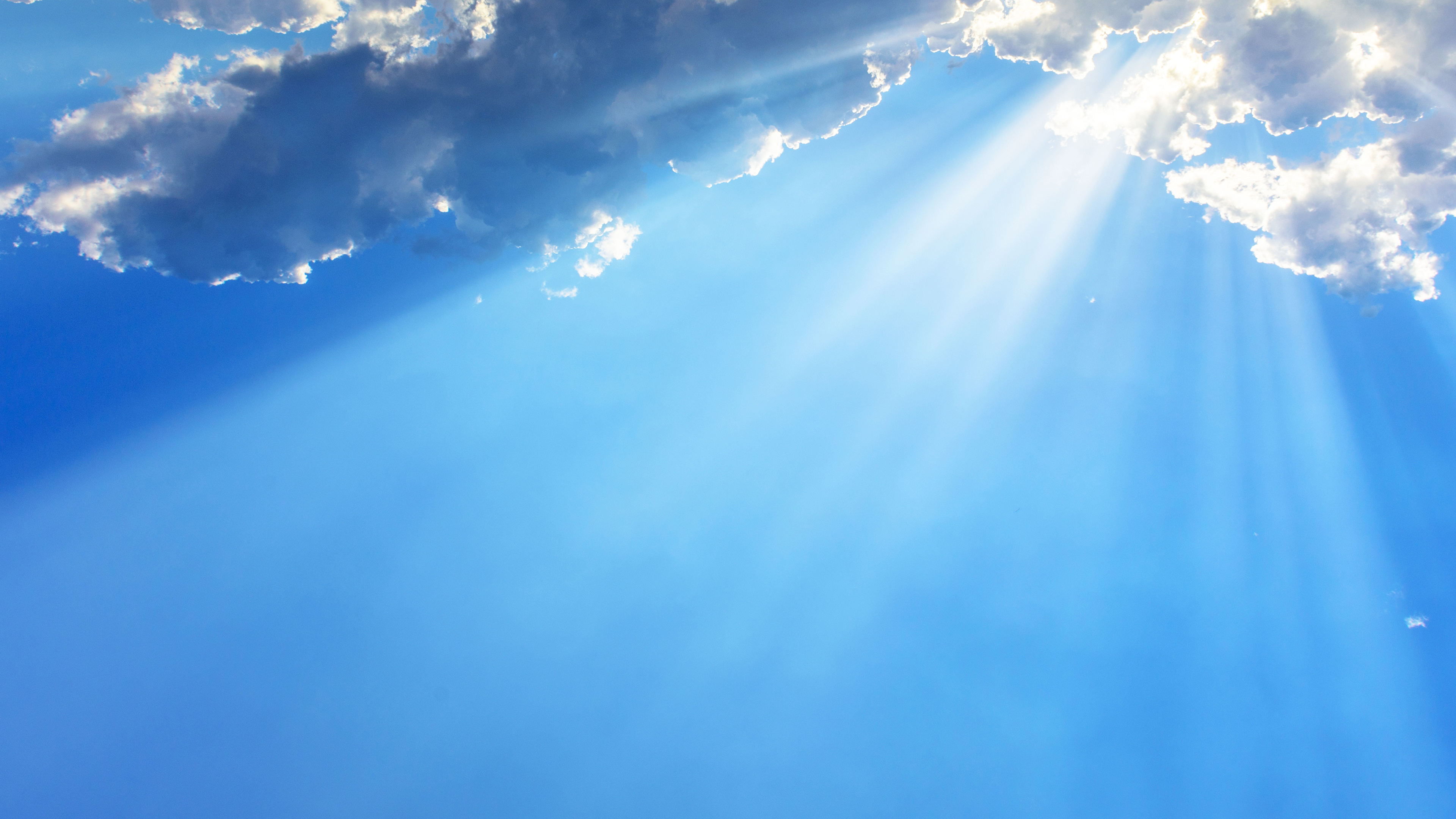 S.D. Seva - G.T. - Tirupati Live Online