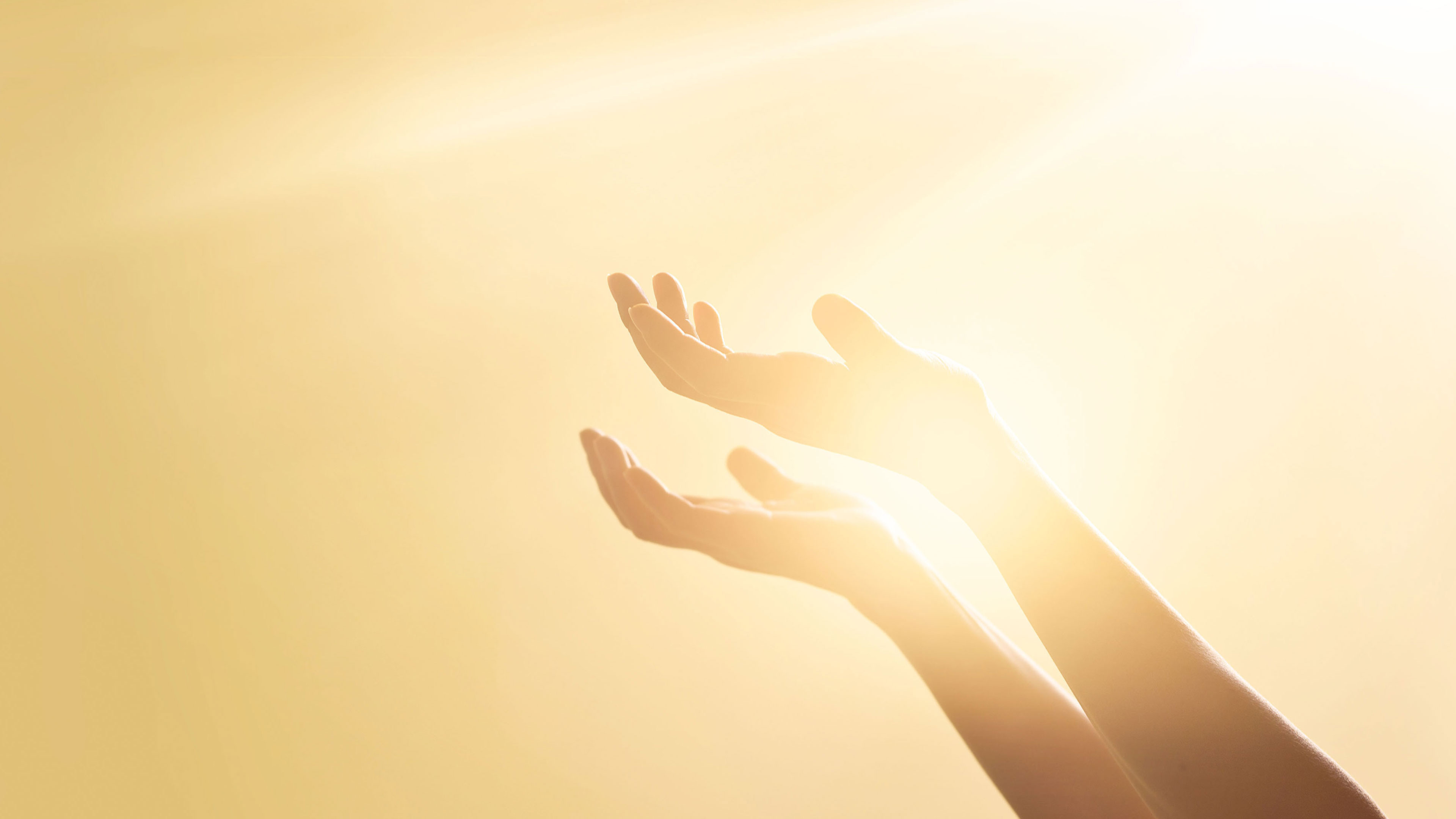 Br. PG Vargis Online