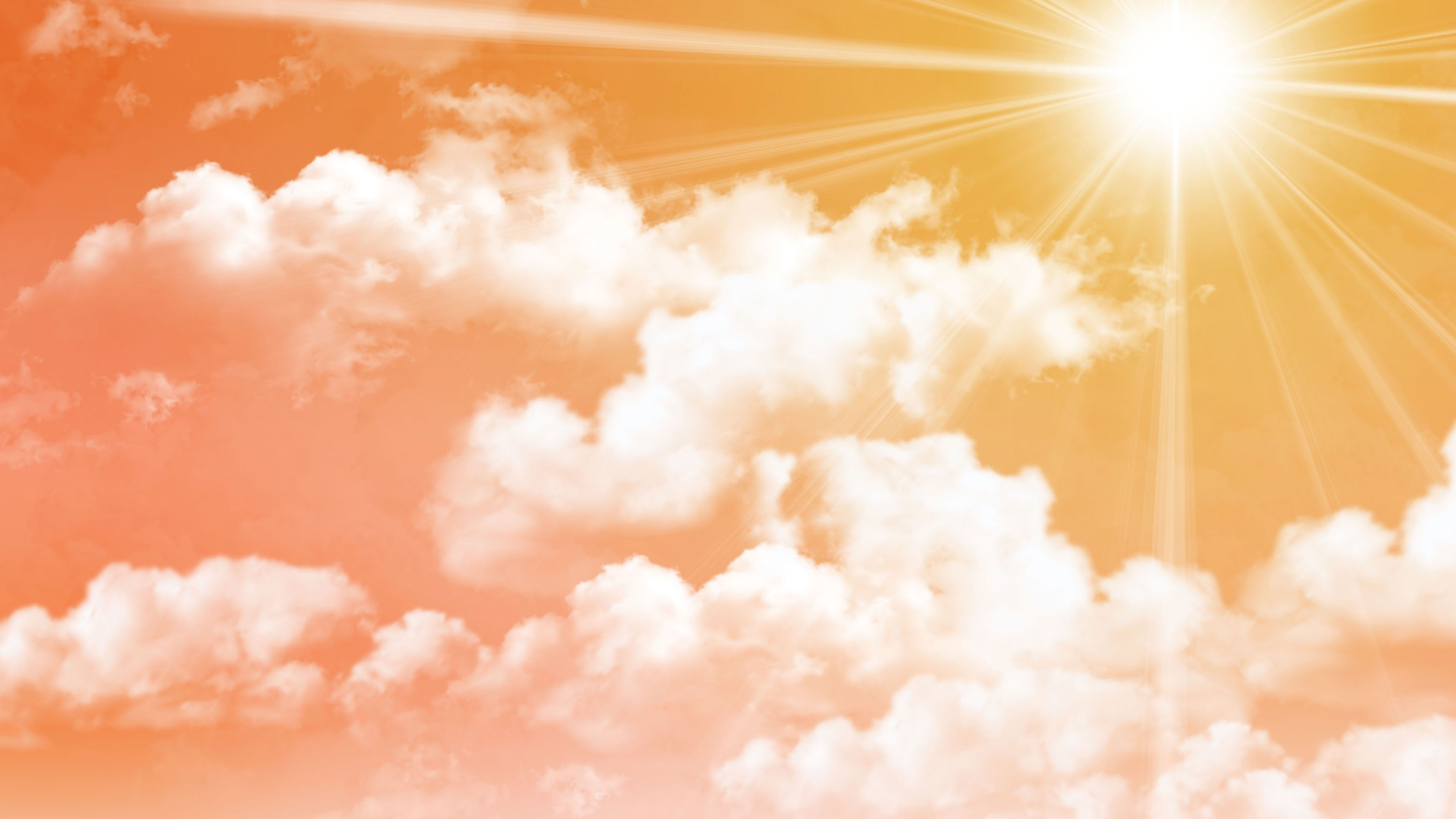 Harvest TV Special Online