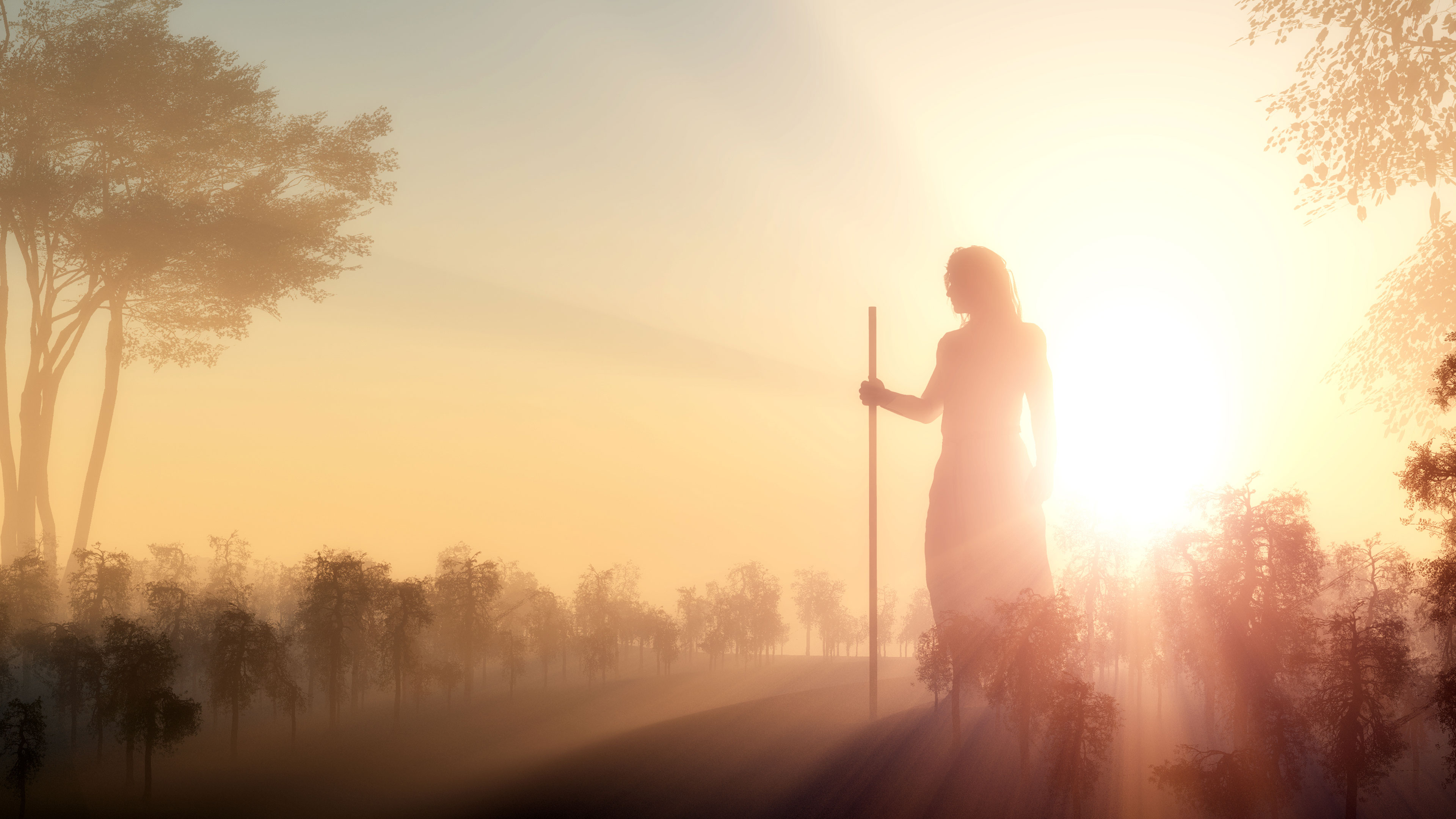 Healing of The Land Online