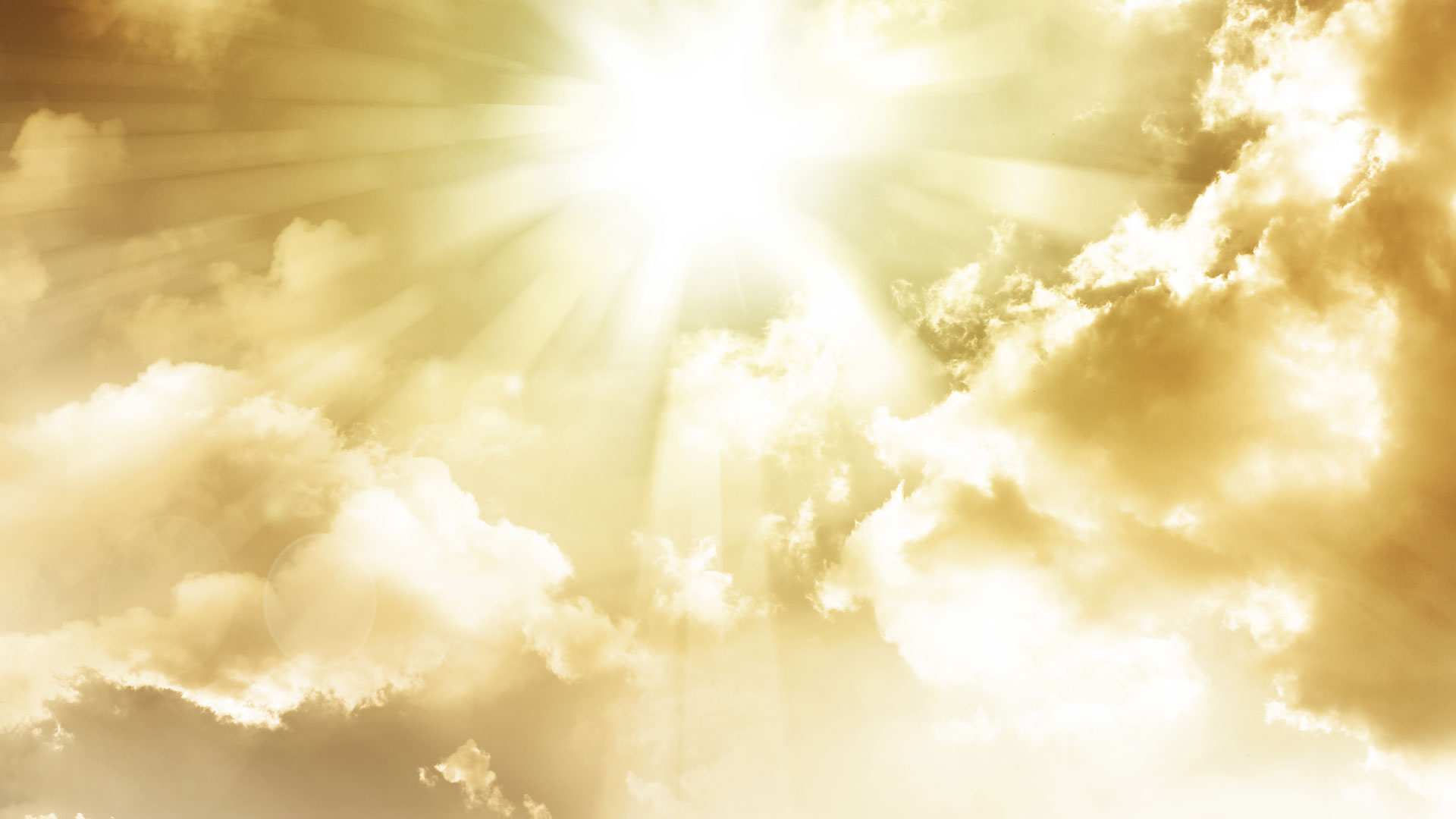 Divine Youth Program Online