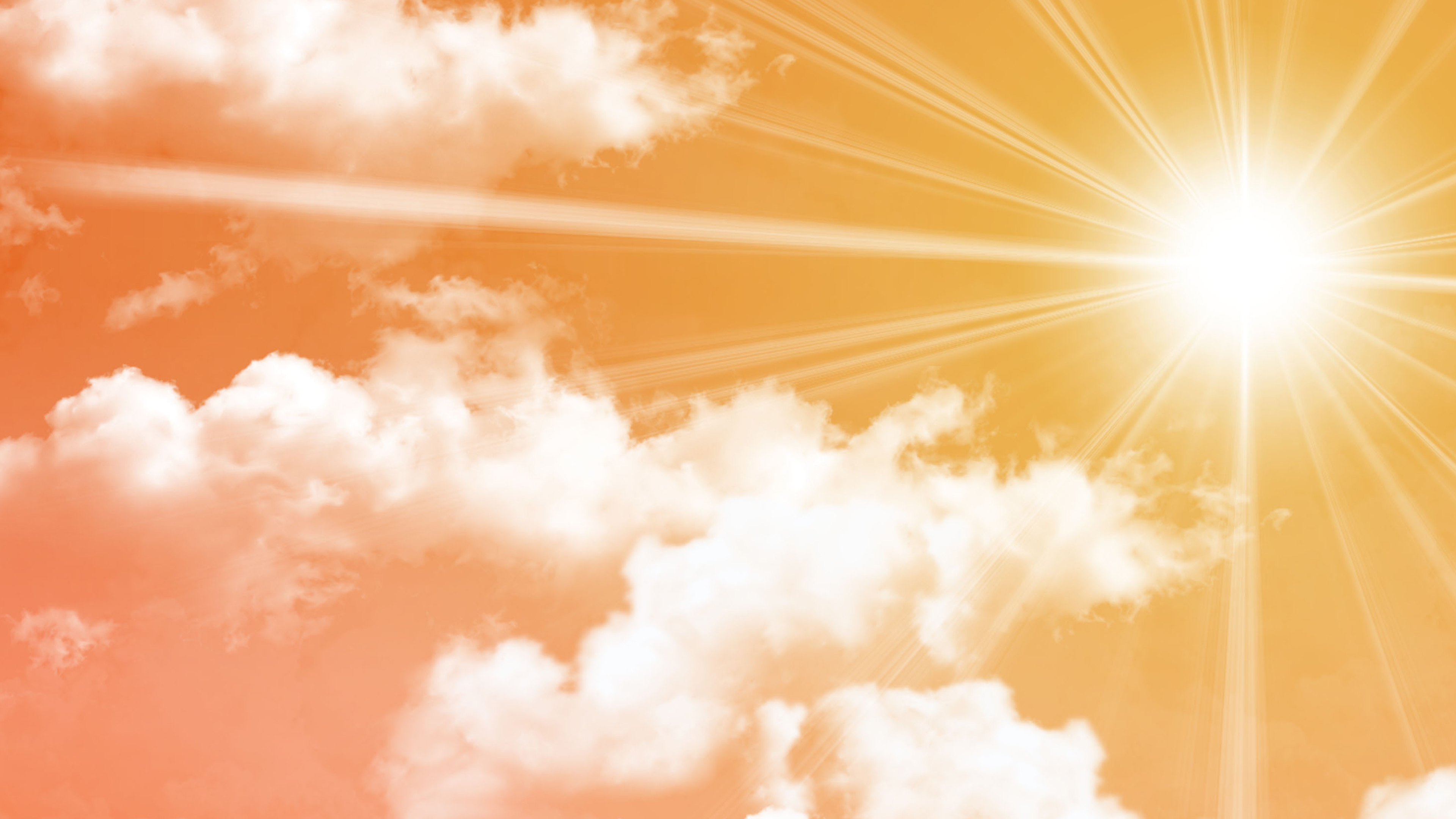 Bhakthi TV Special Program Online