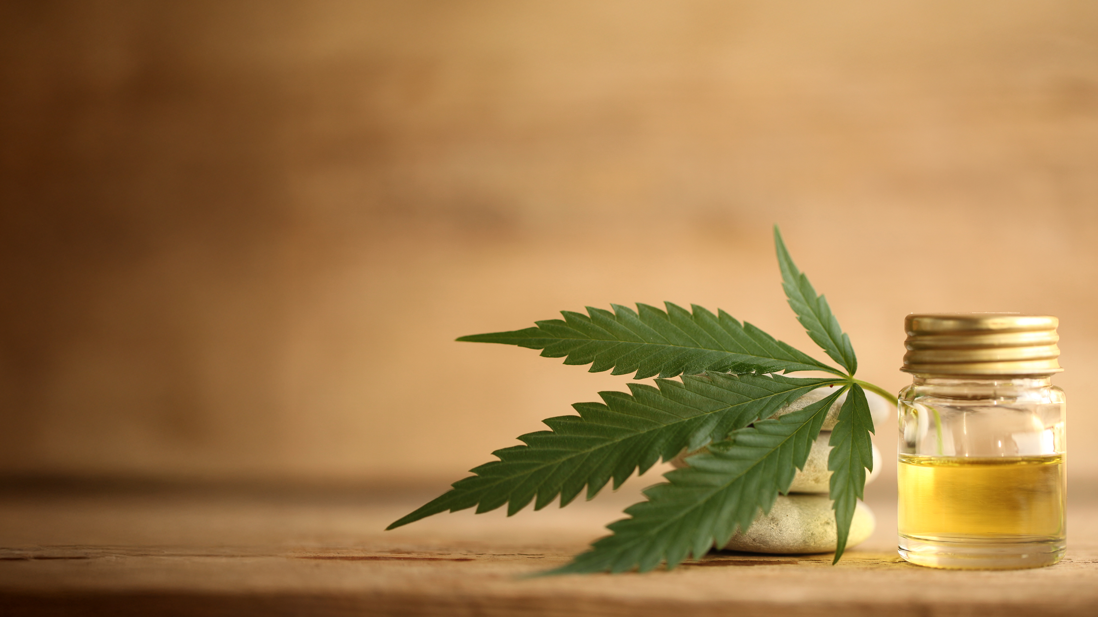 Ujwala Ayurdhama Online