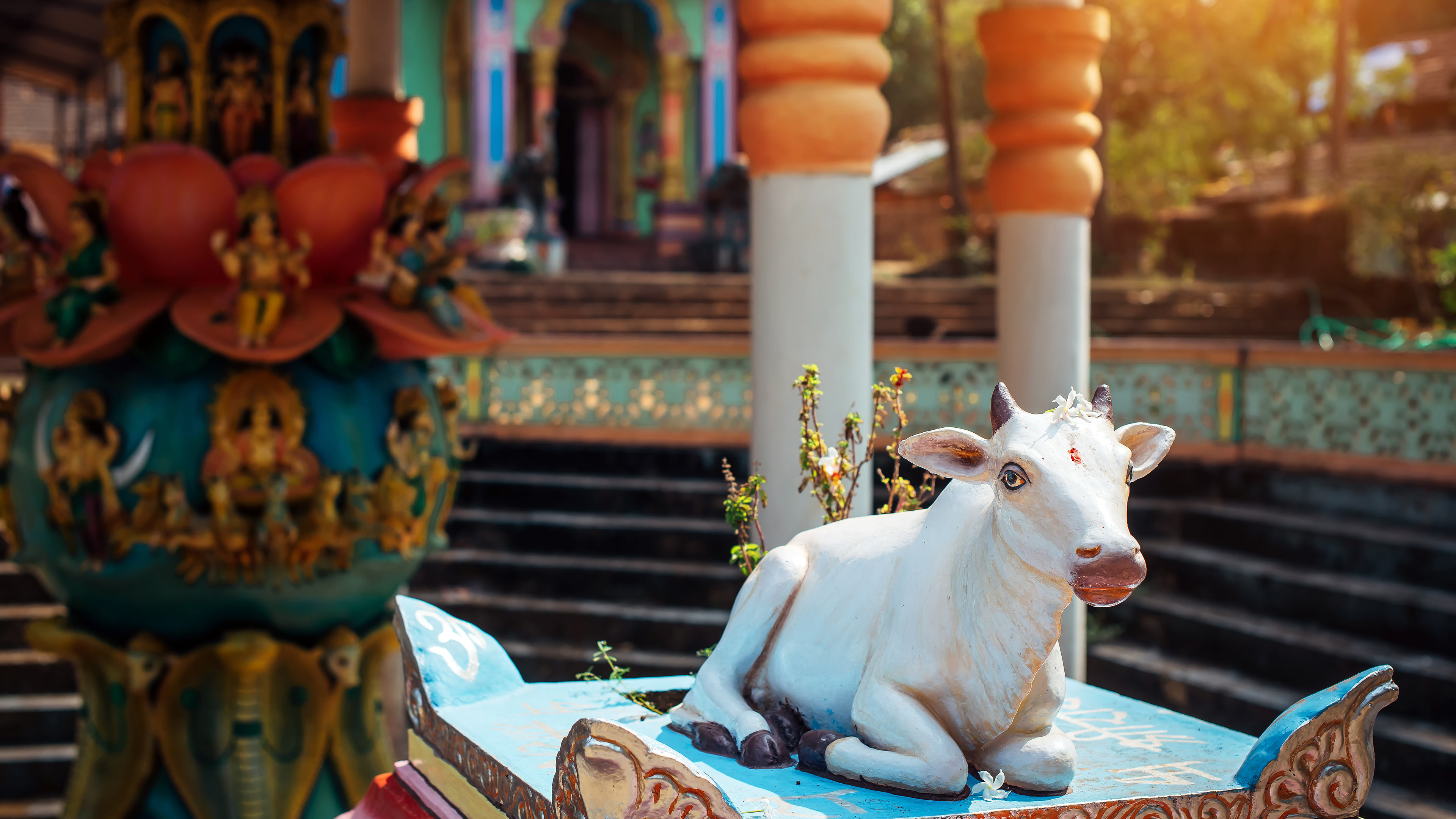 Gou Matha Vishwa Matha Online