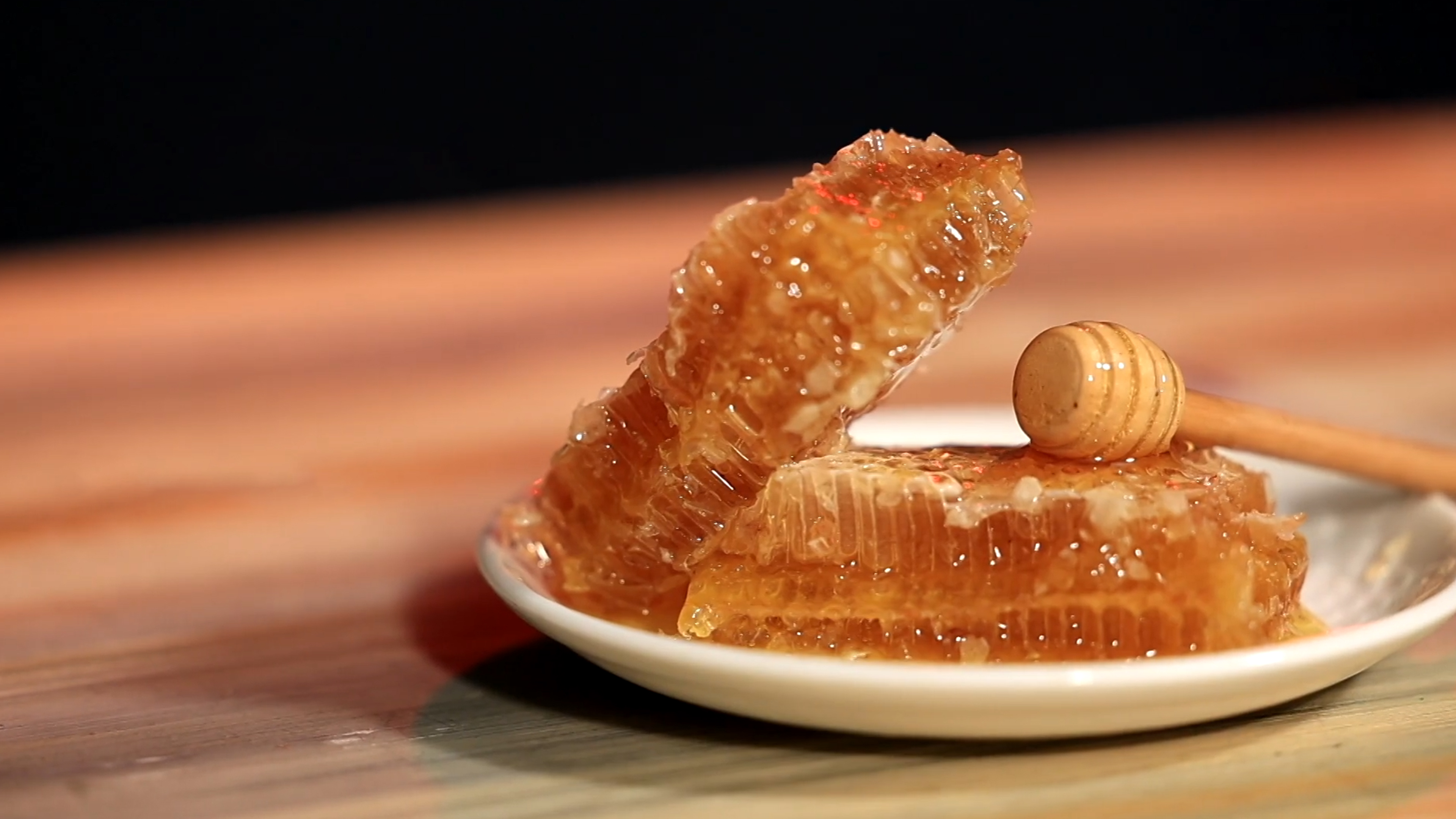 Wild Forest Honey Online