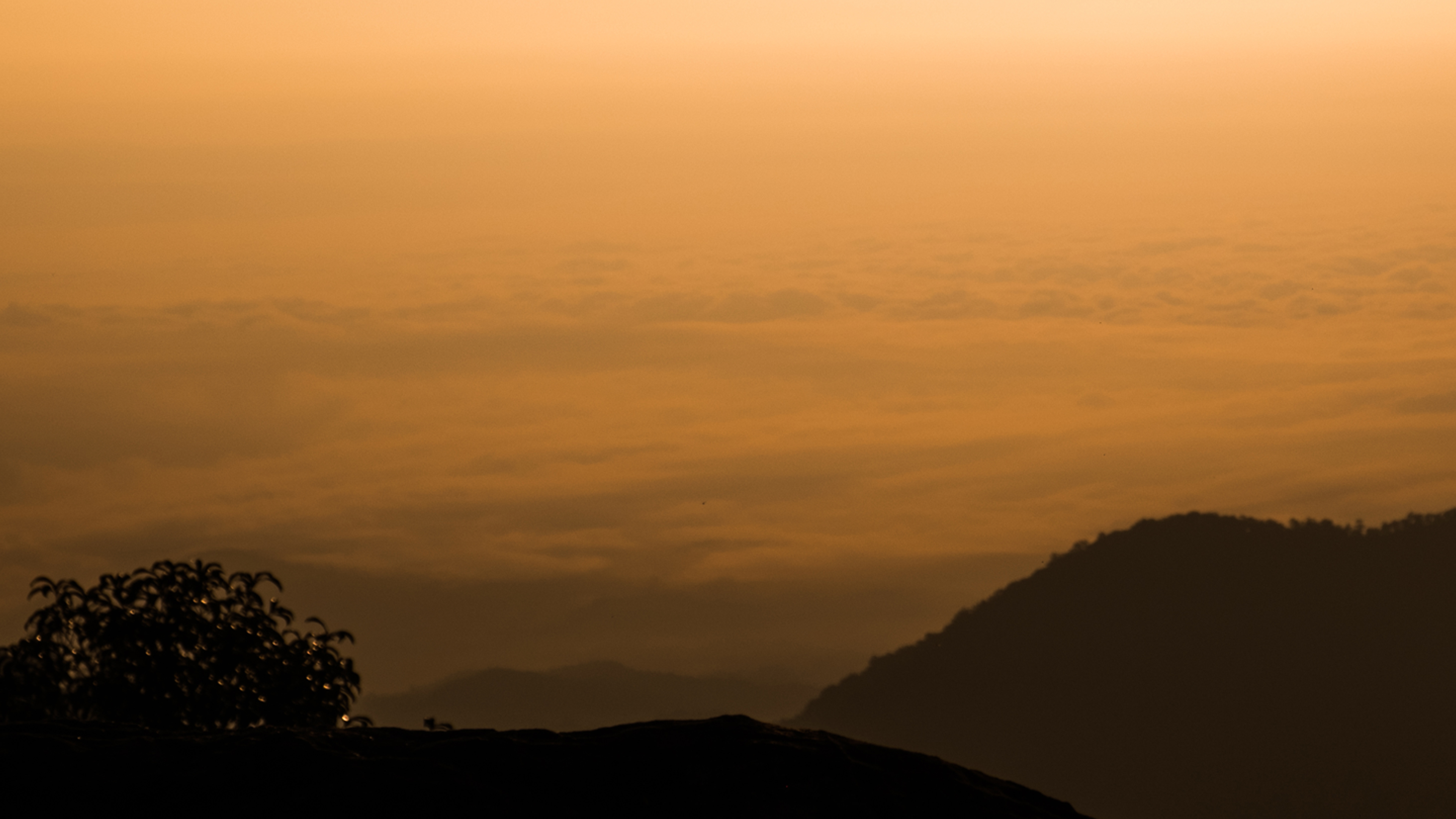 Sri Sitaramachandra Swamy Abishekam, Ammapalli, Samshabad Online