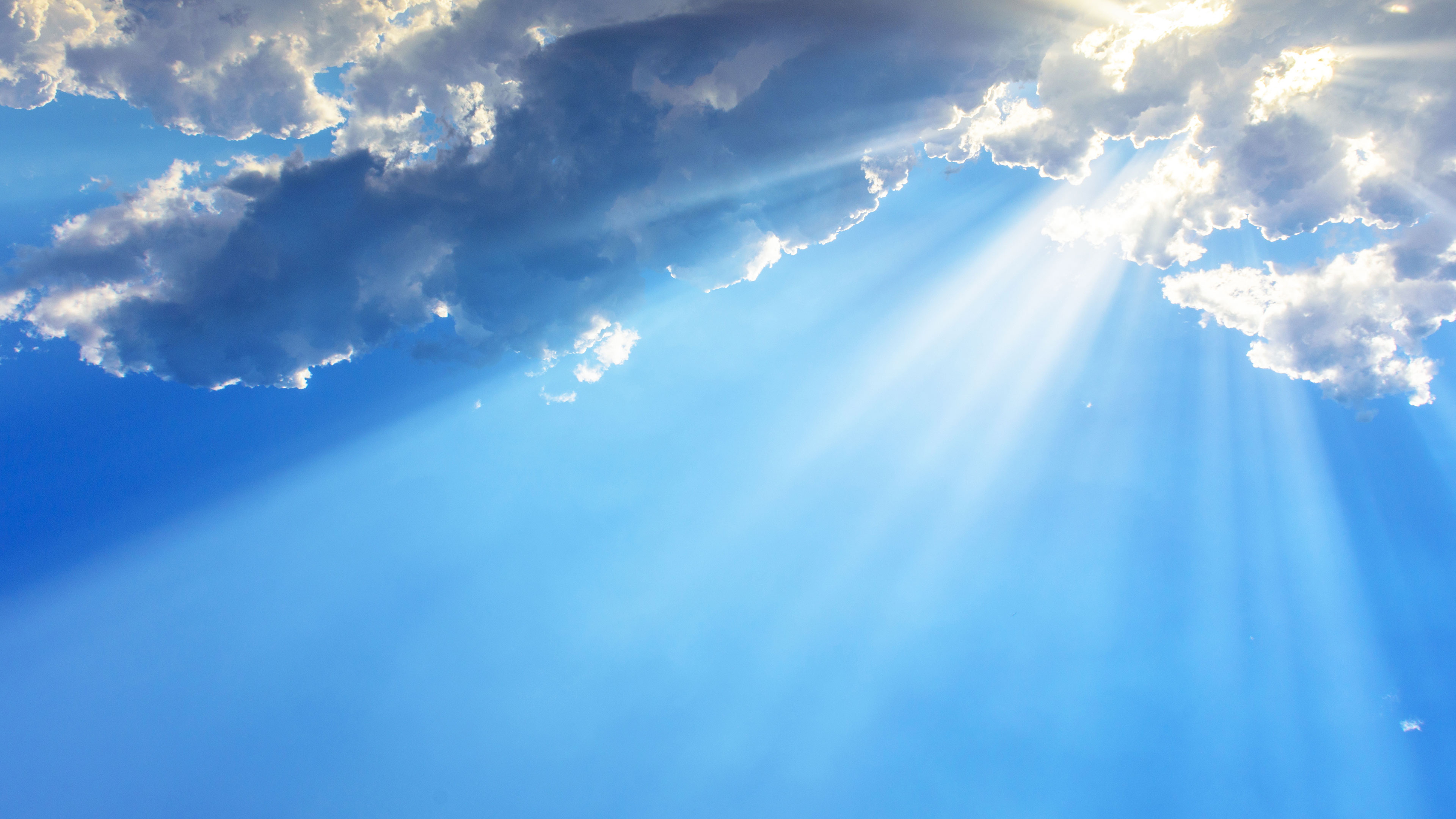 Srinivasa Kalyanotsava Live Online