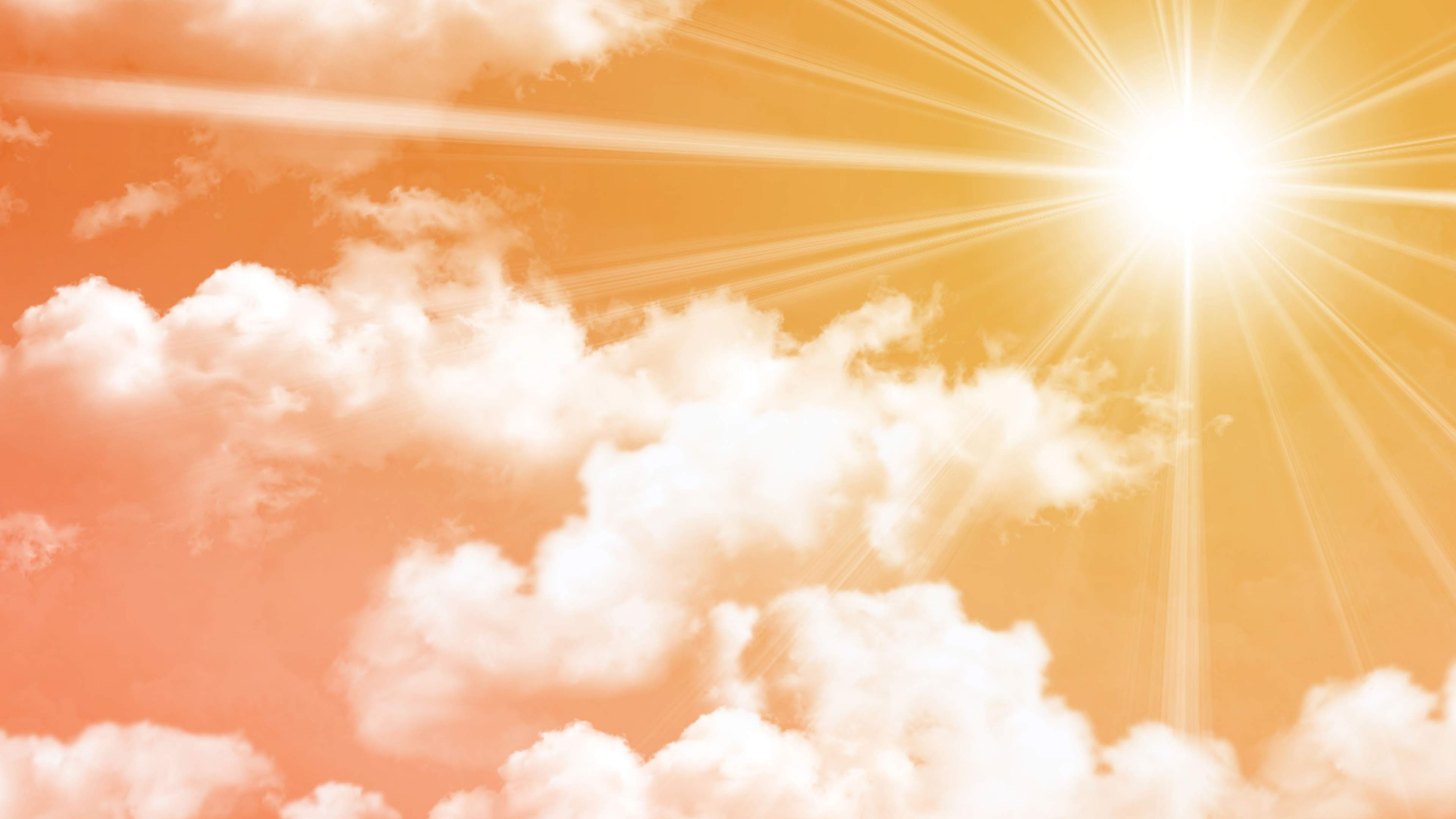 Sri Padmakshi Amma Abishekam