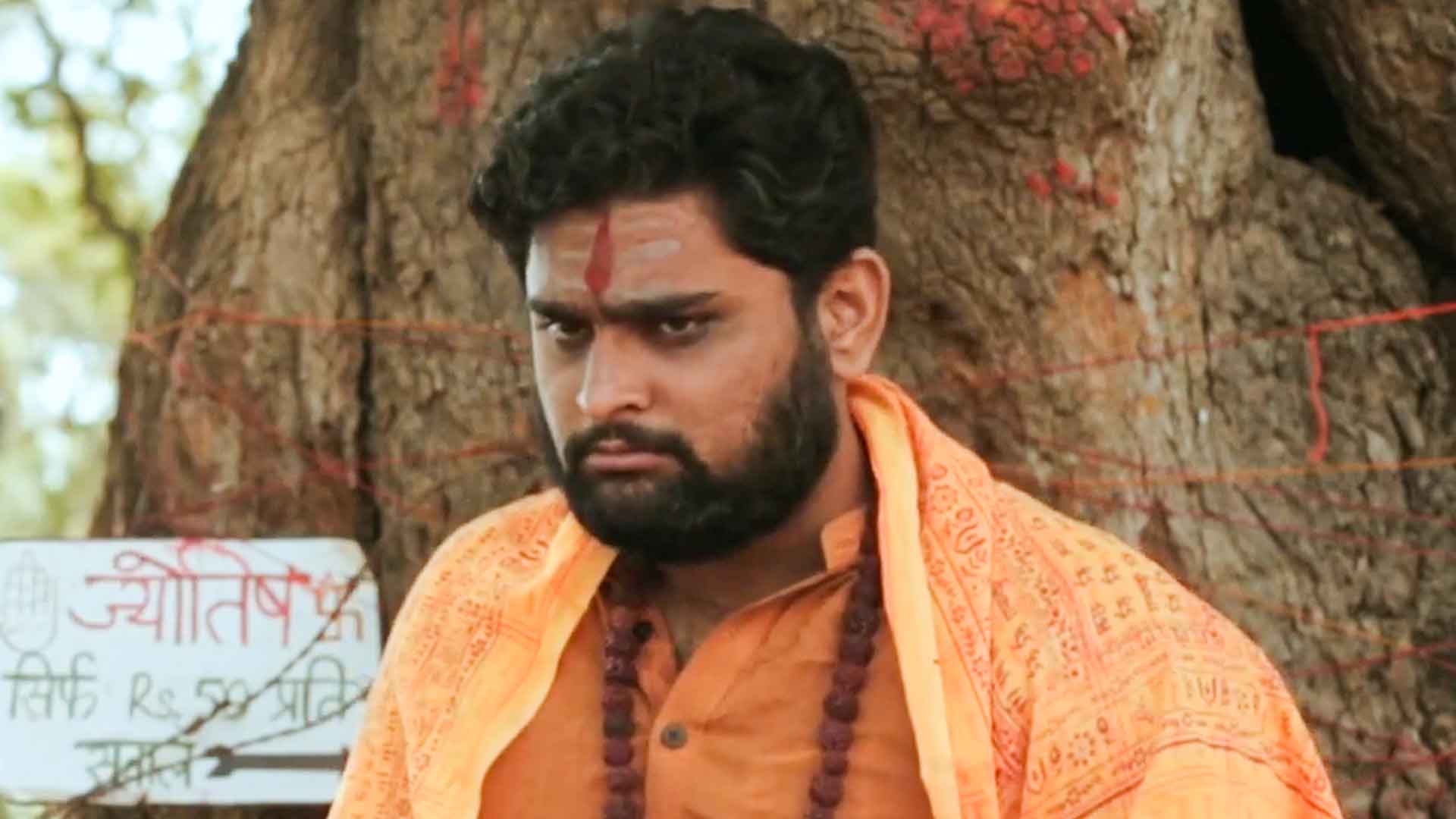 An Astrologer's Day Online