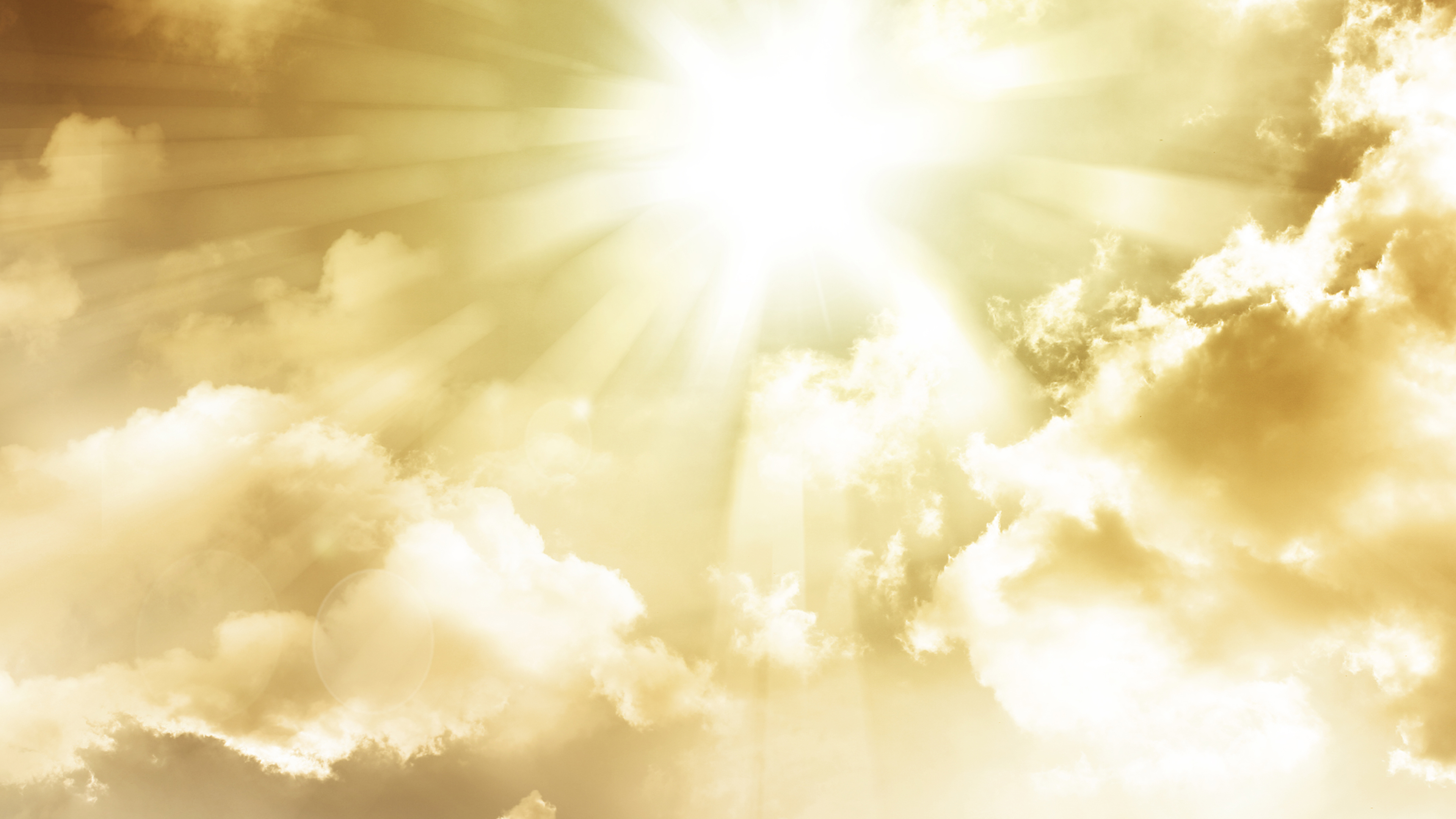 Tirumala Sri Venkateswara Online