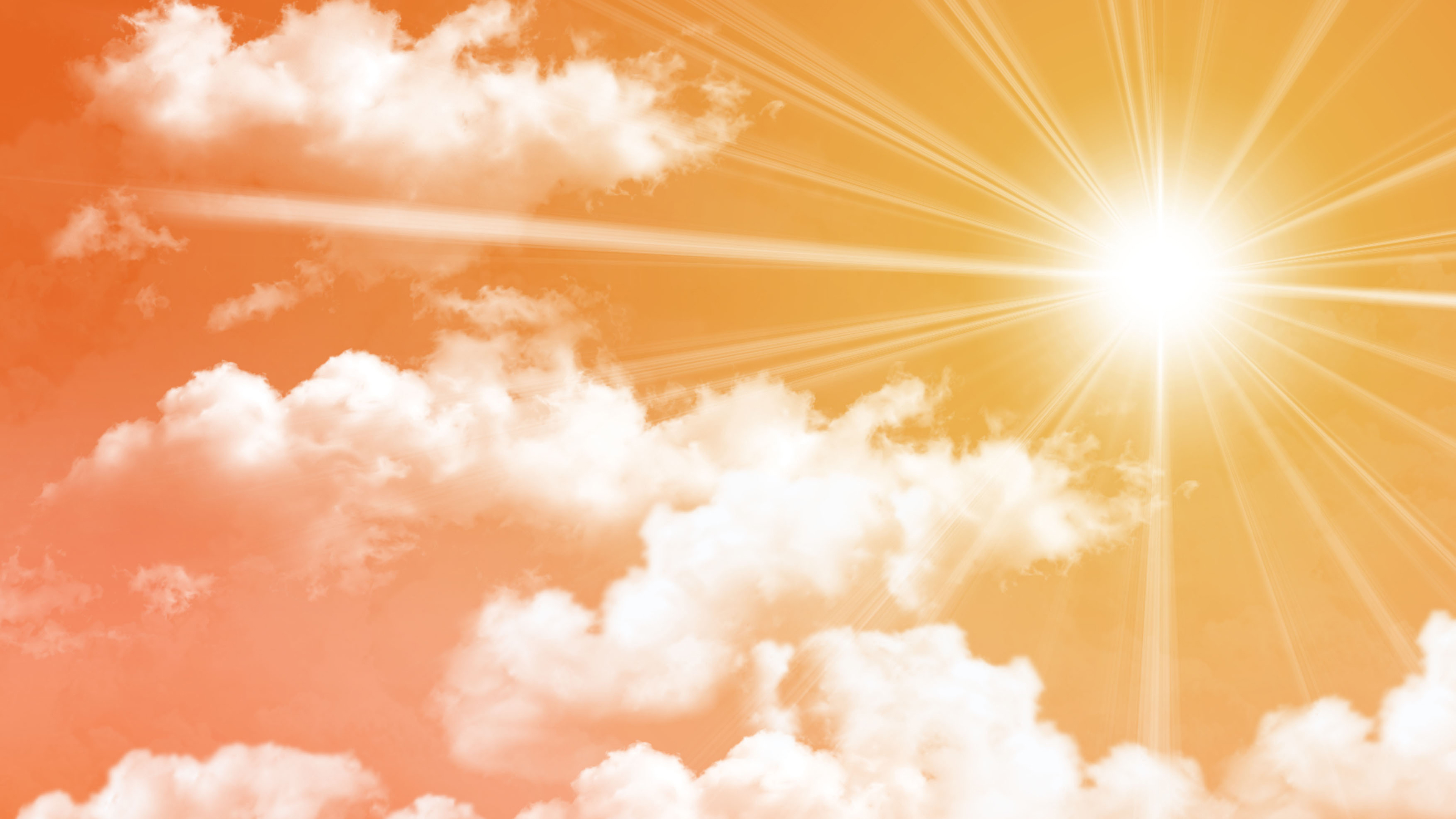 Sri Kanyaka Parameshwari Abhishekam, Vijayanagaram