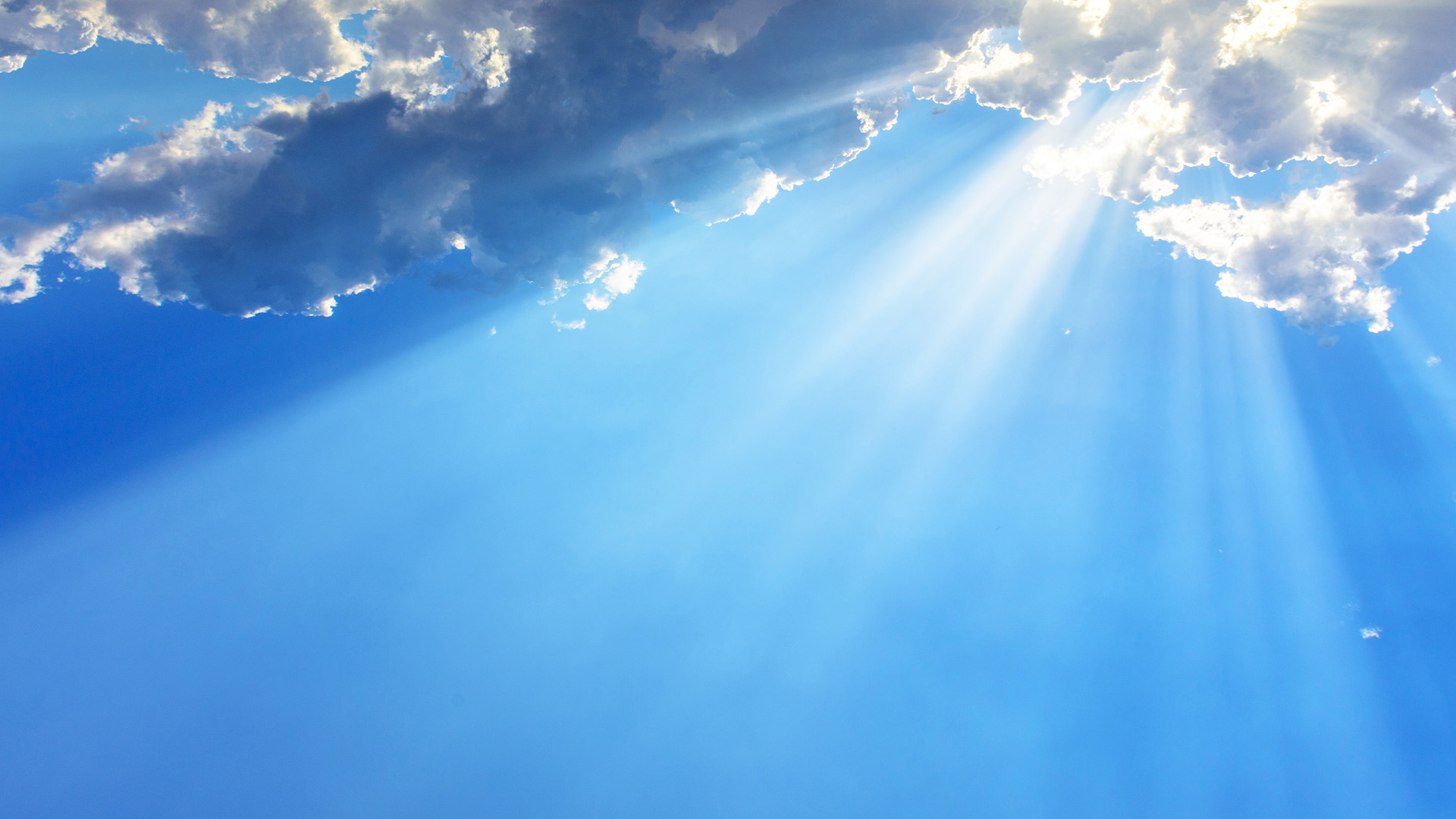 Fillers-Sri Padmavathi Parinayam Bommalakatha Tiruchanoor Online