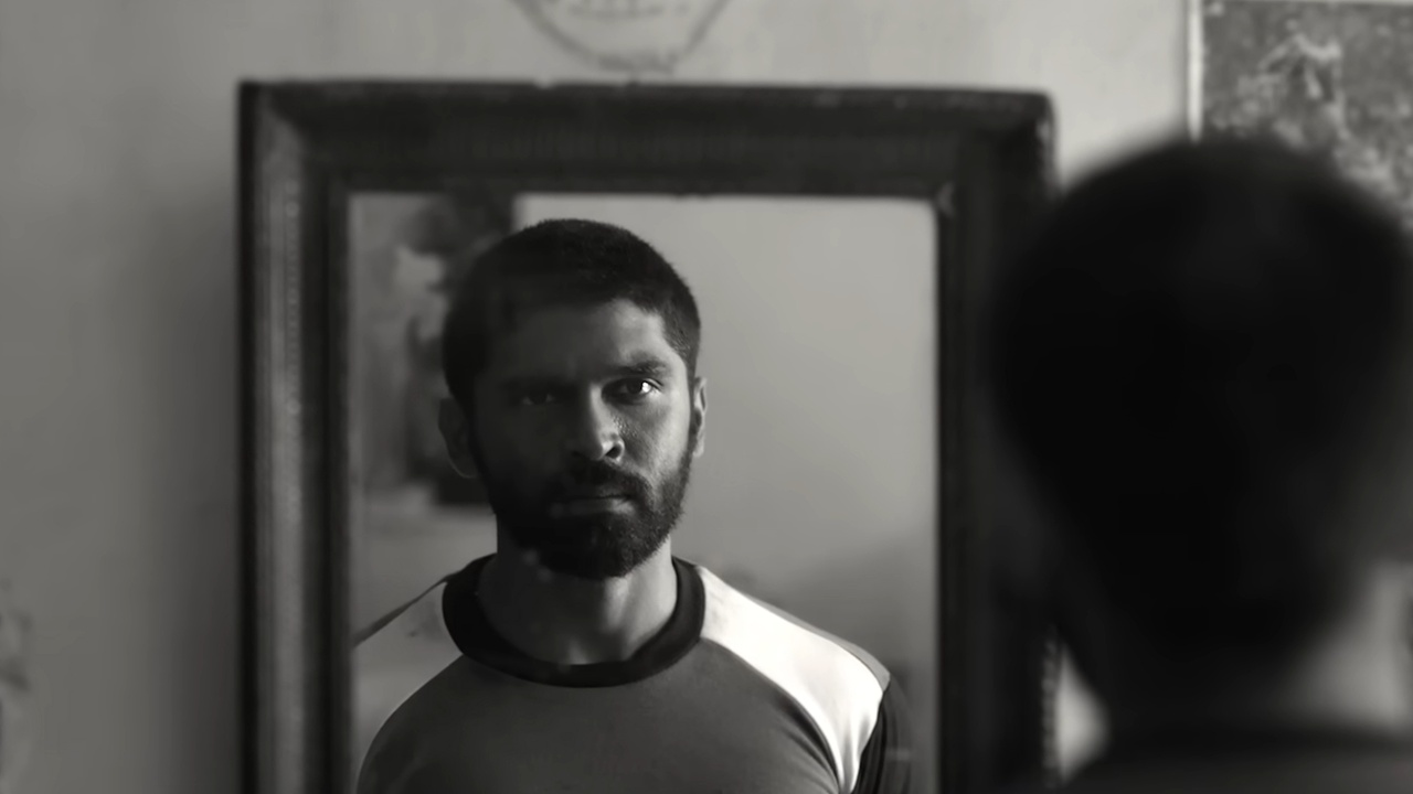 Bison: Kaalamaadan Online