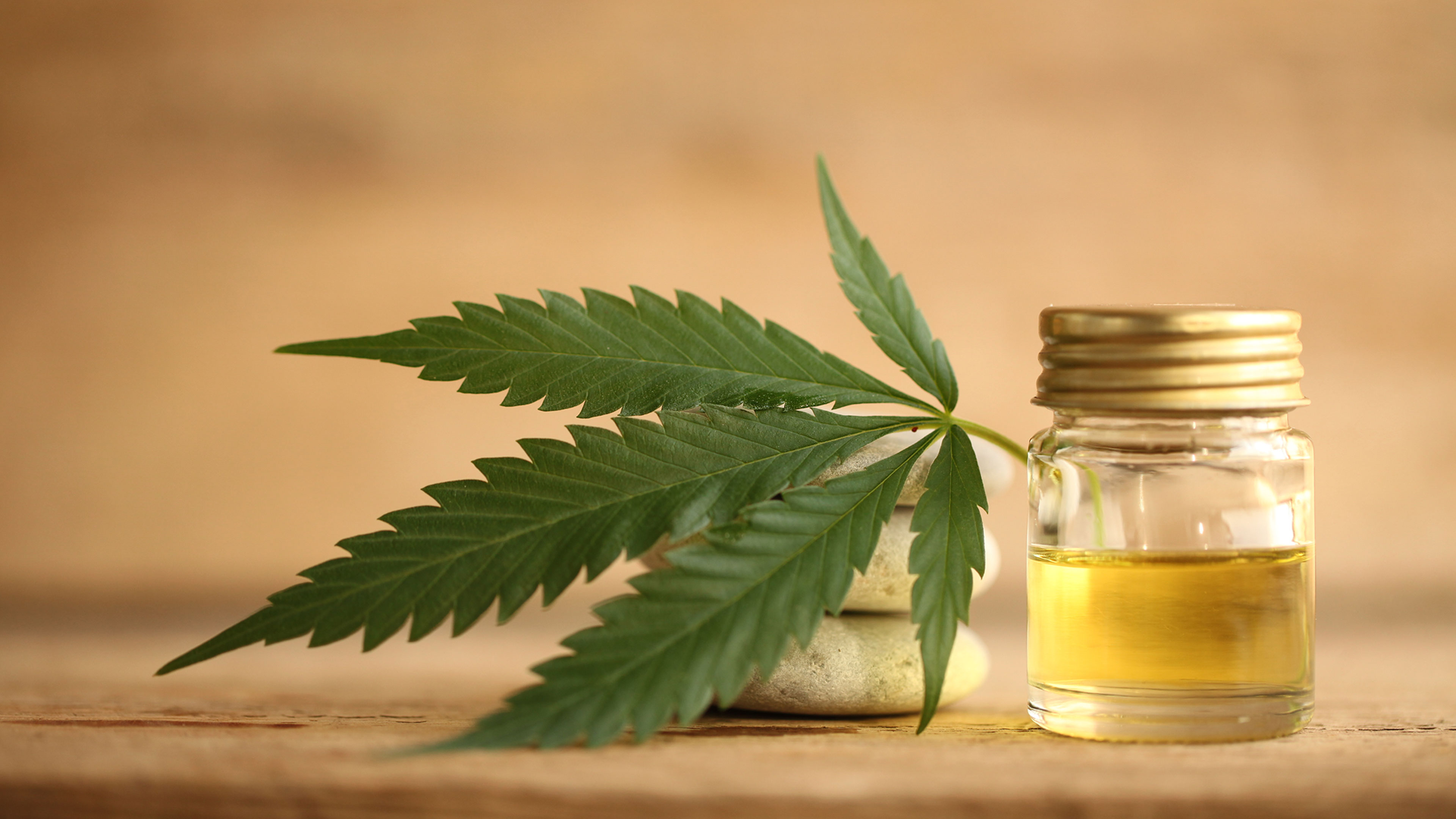 Ayurveda Dincharya Online