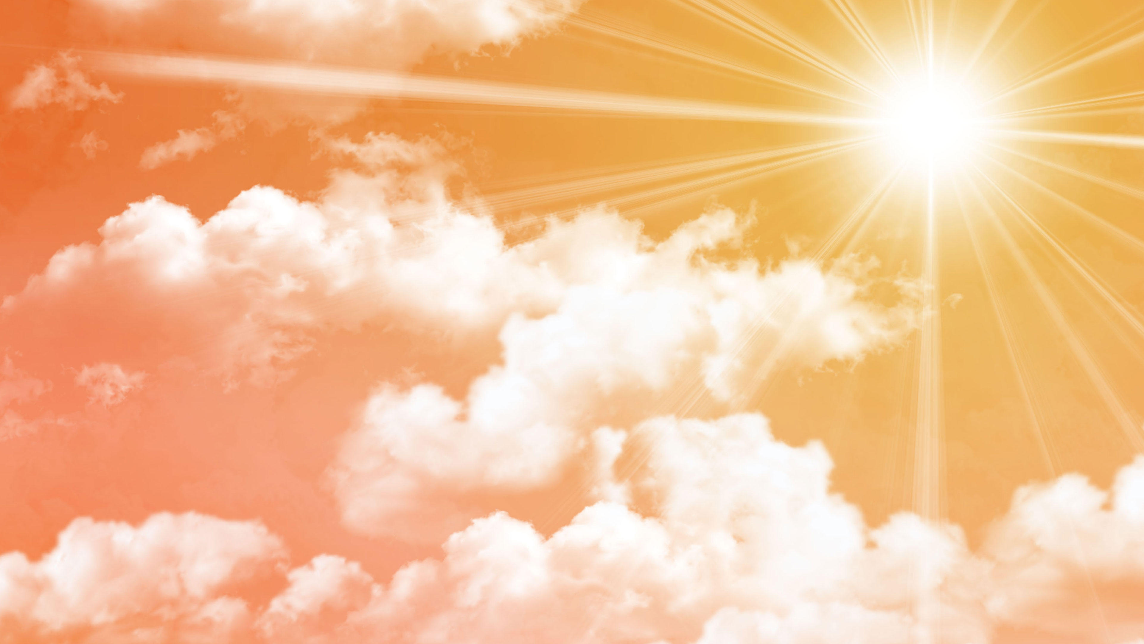 Sri Annapurneshwari Abishekam, Dharmavaram, Anantapuram DT Online