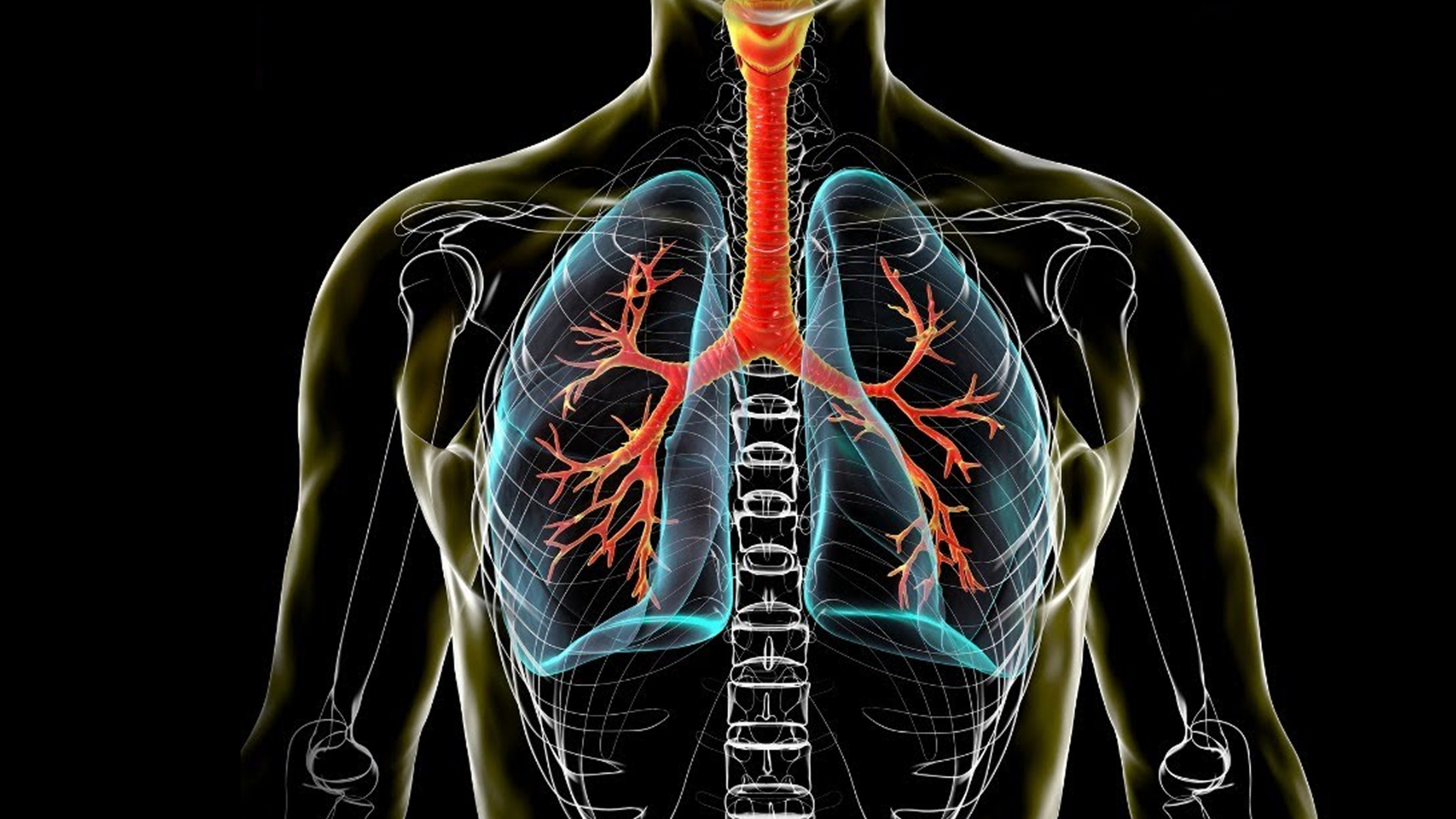 Wellness Watch-COPD:The Breath Barrier