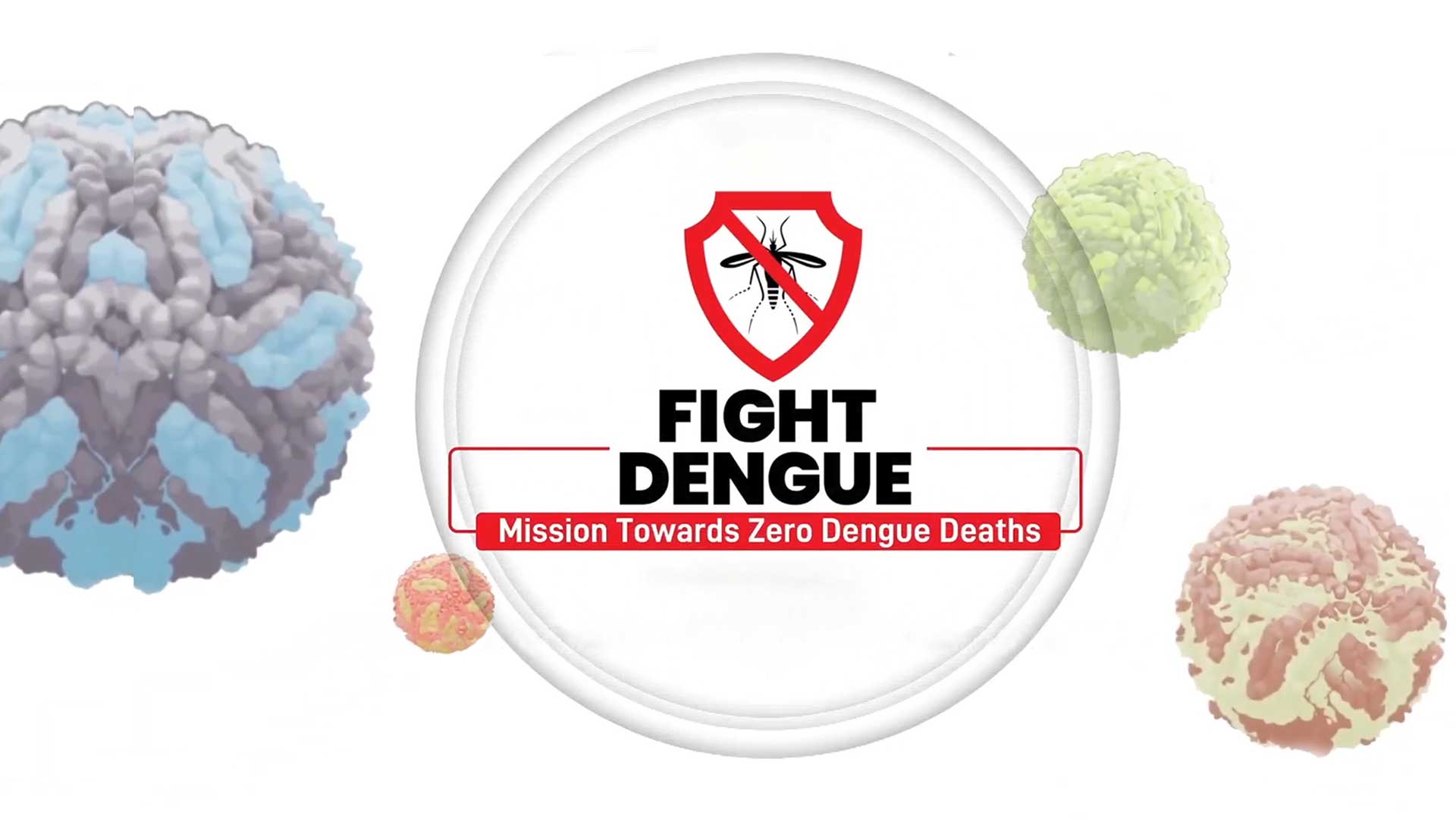 Fight Dengue: Mission Towards Zero Dengue Deaths