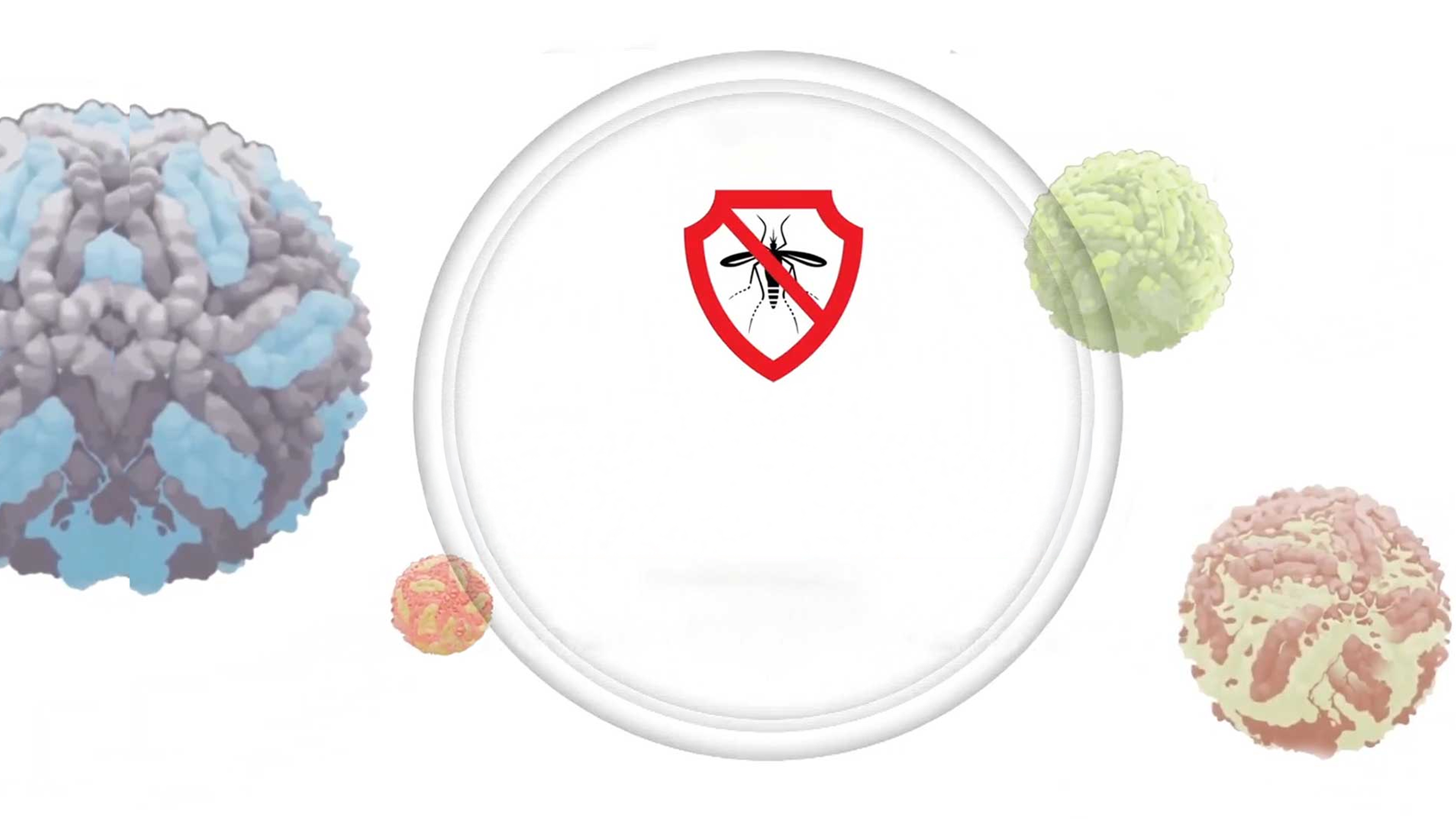 Fight Dengue: Mission Towards Zero Dengue Deaths