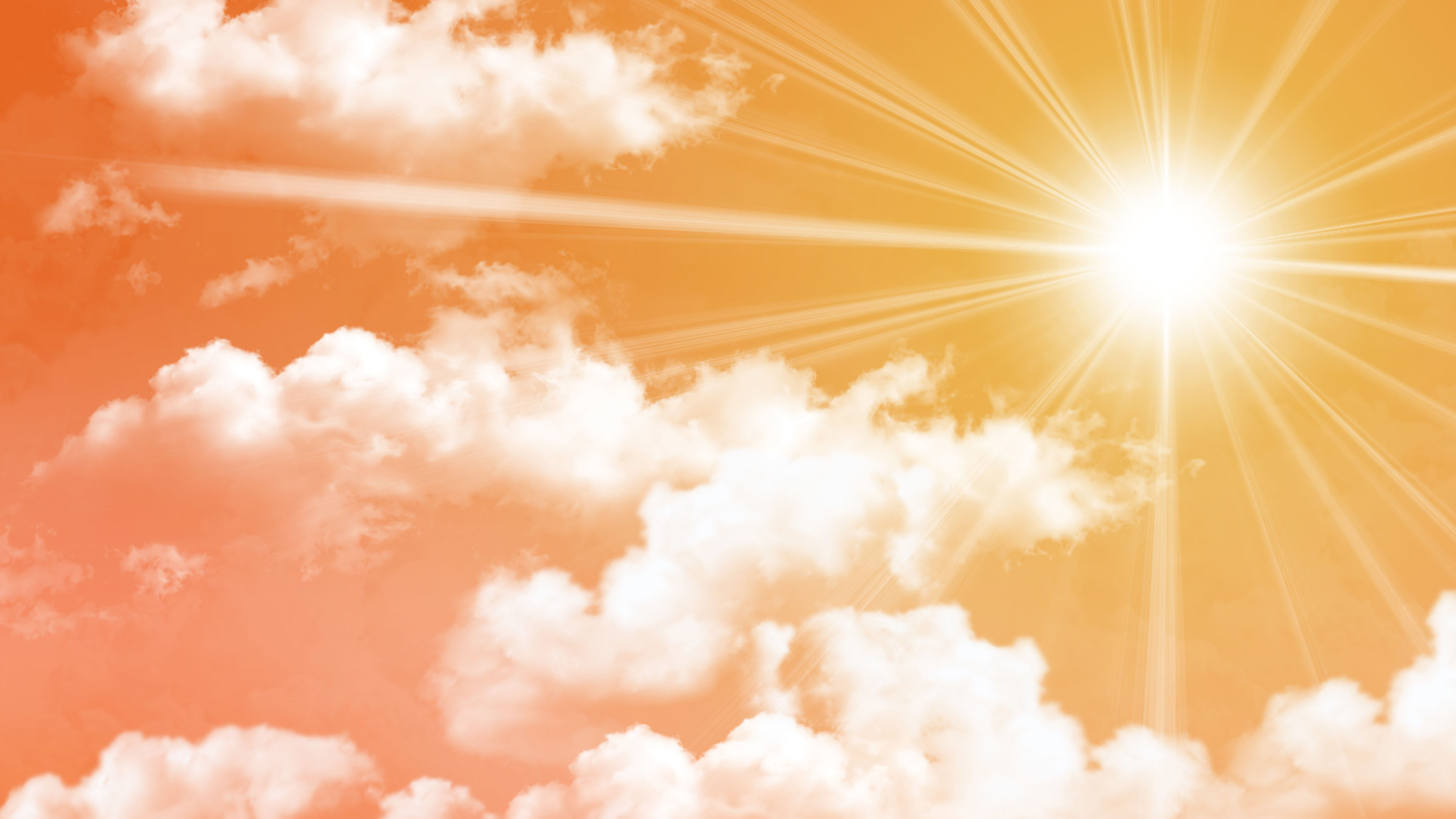 Live Arjitha Bramhostavam, Tirumala Online