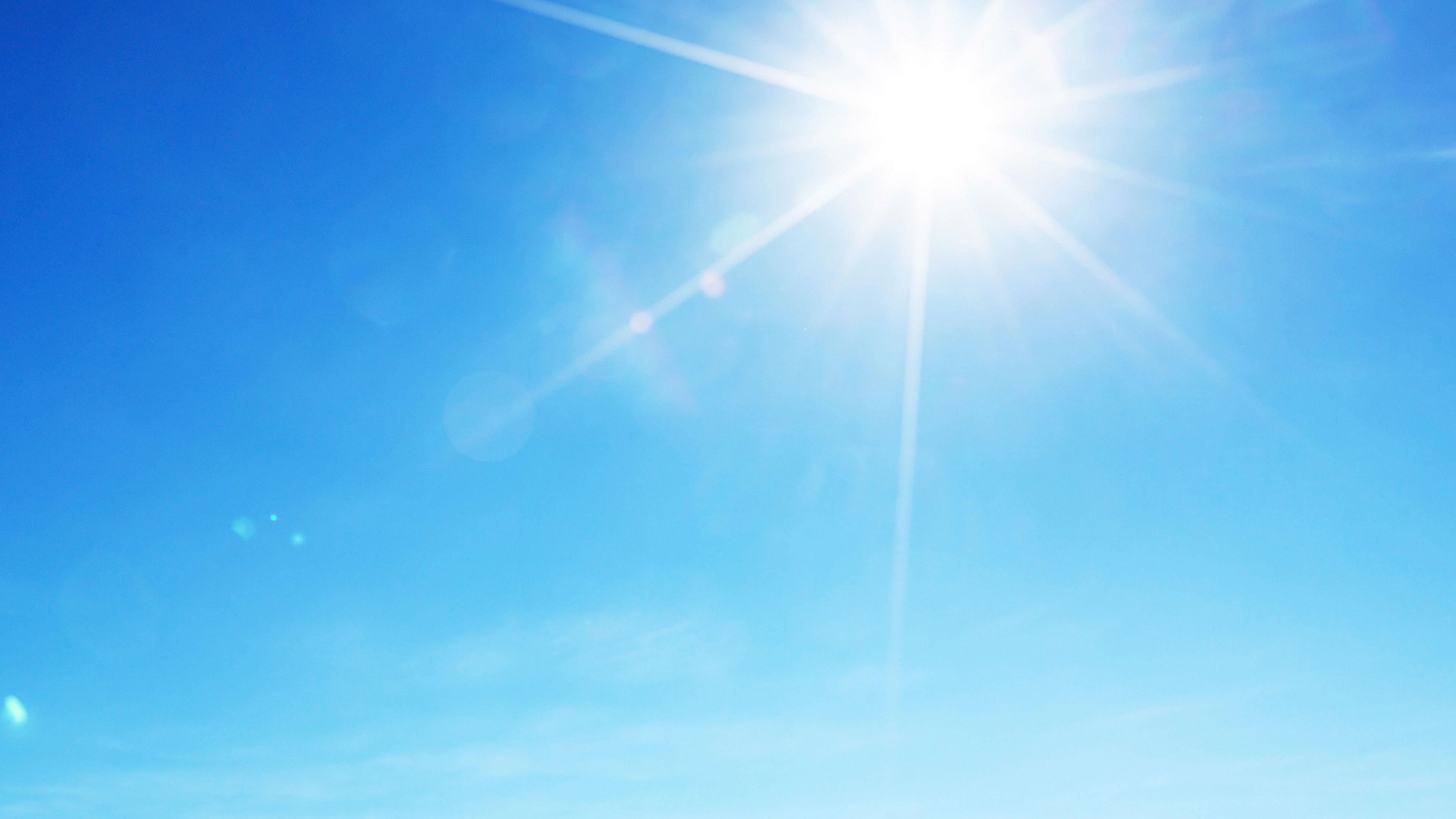 Bangalore Vasanthostavam Online