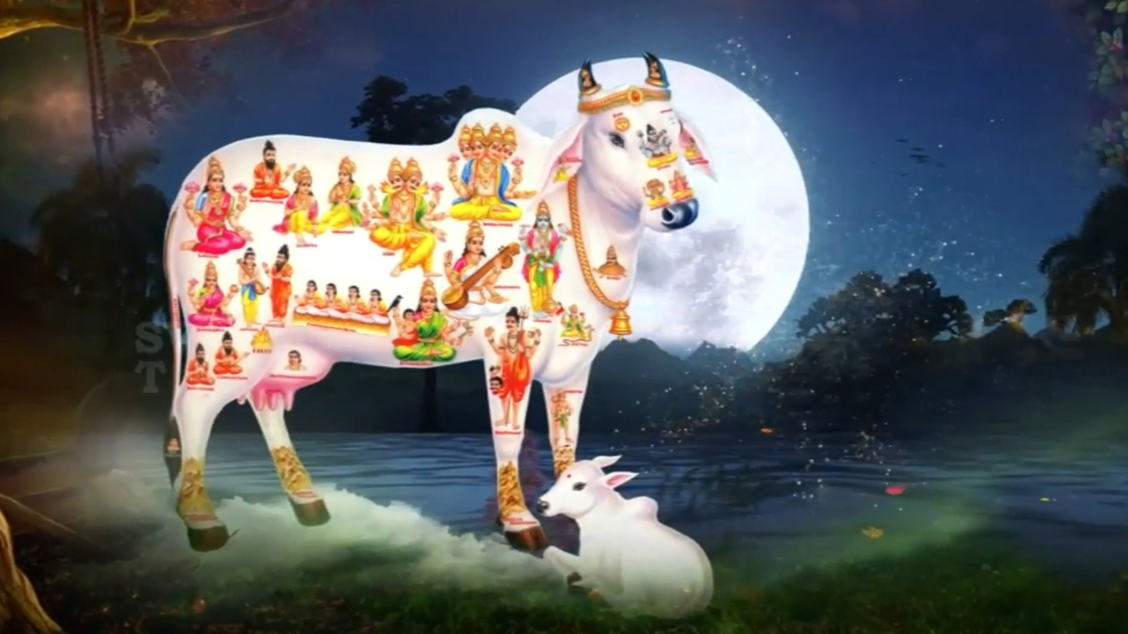 Go Pooja Mahotsavam Live Online