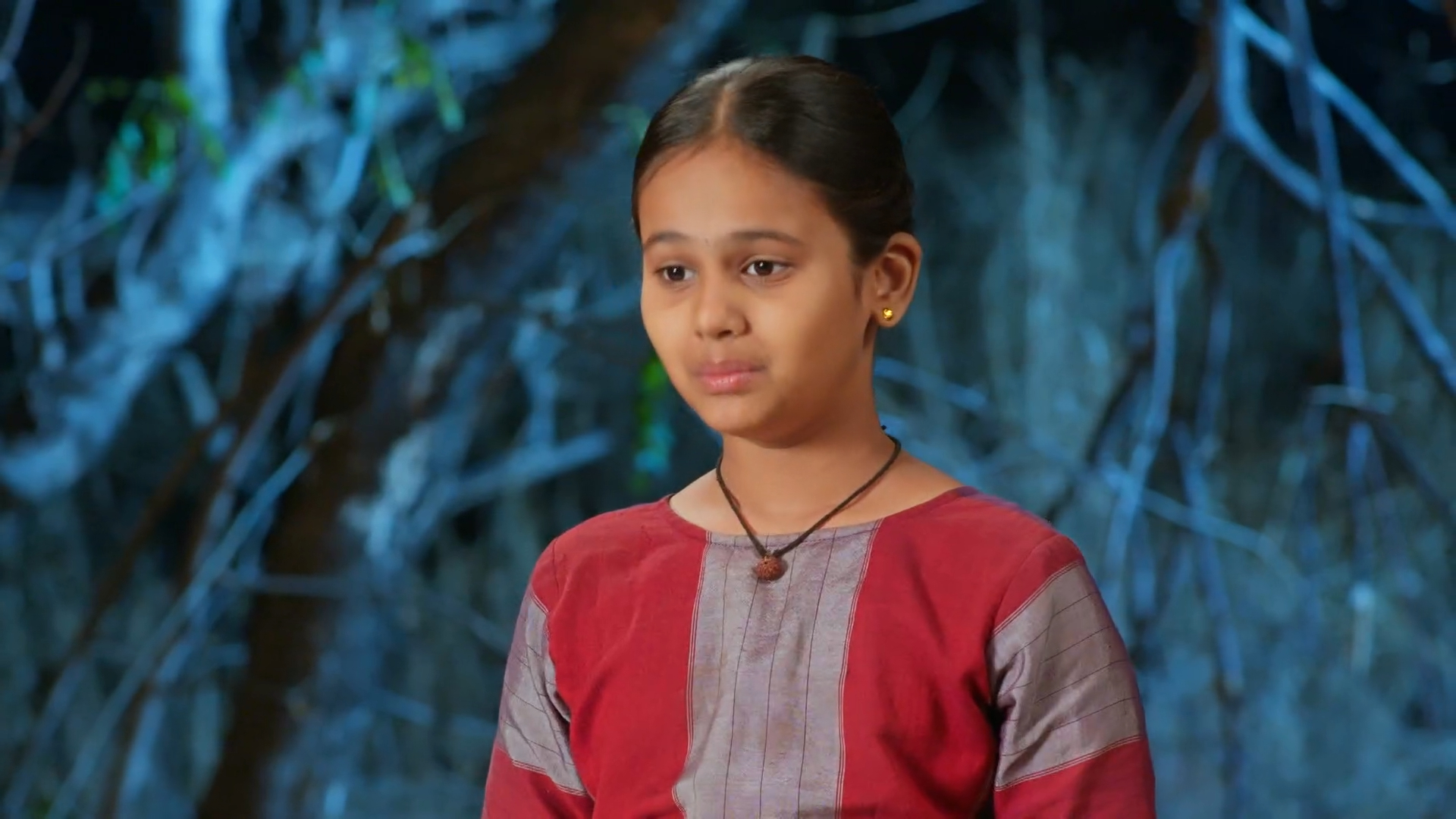 Aai Tuljabhavani Online