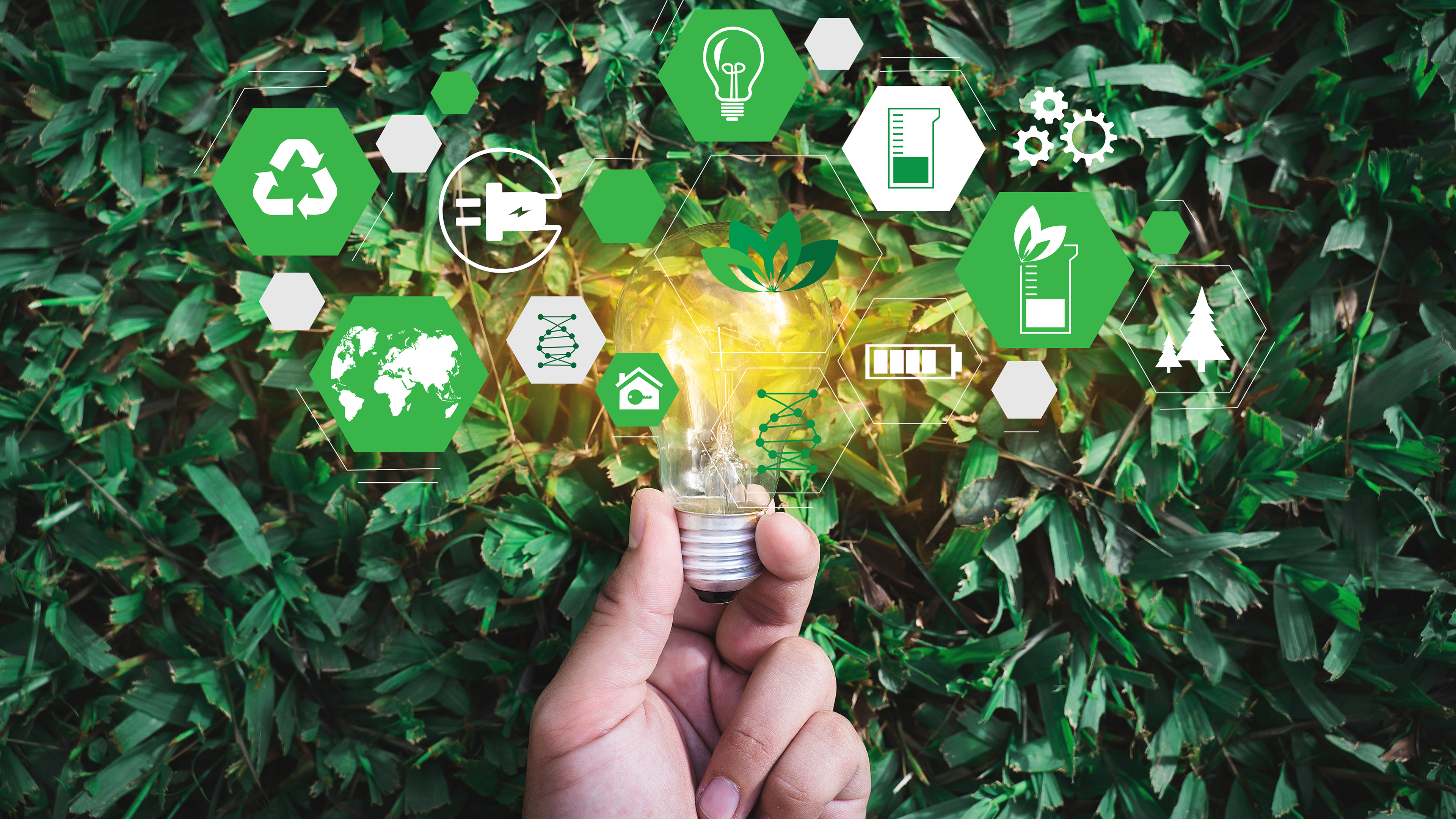 Schneider Greenyodha