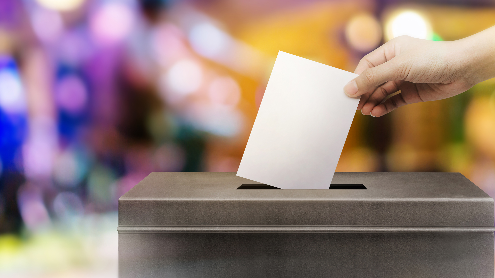 Election Bulletin Online