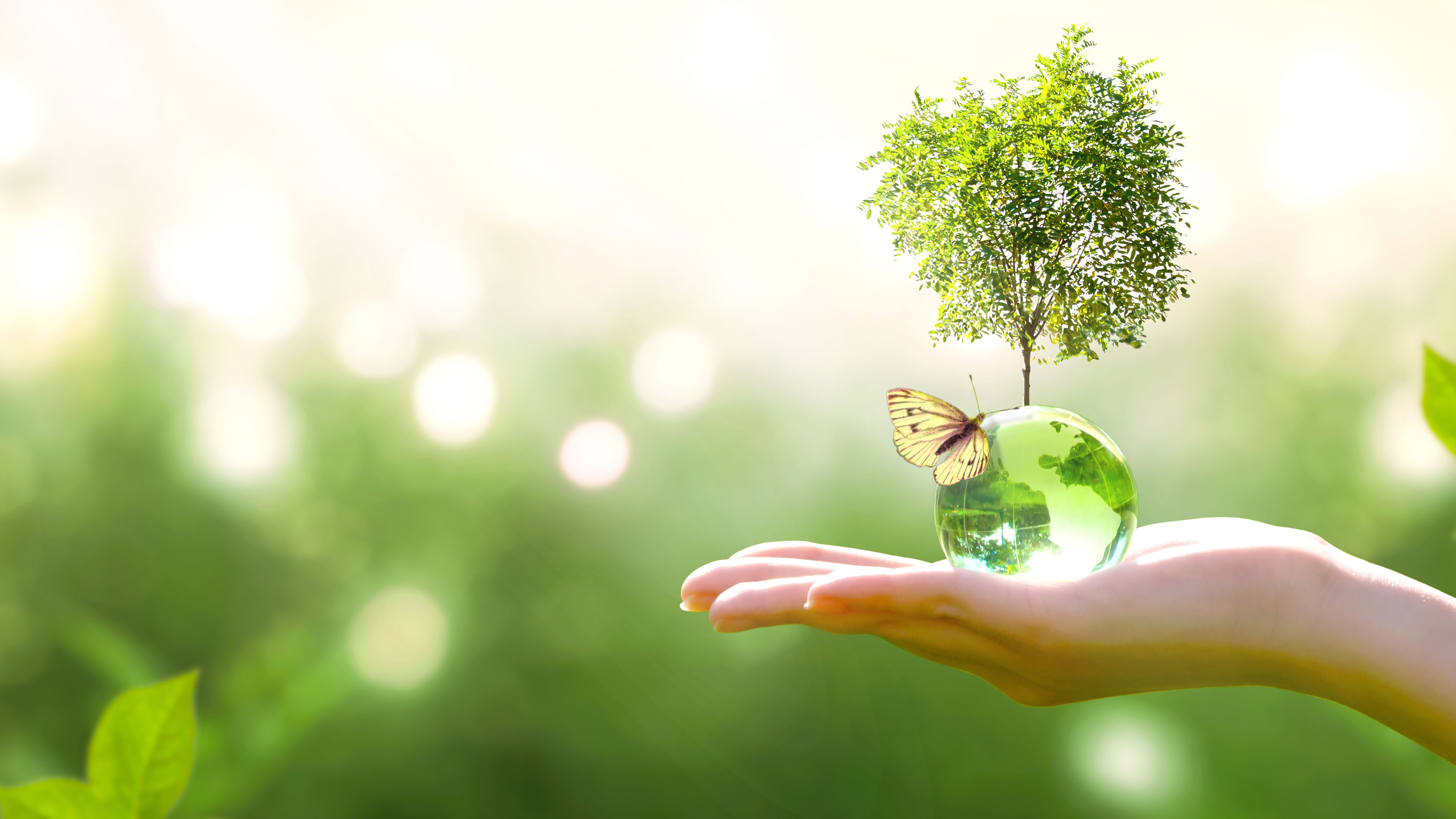 ISM: Green Infrastructure: Building India For The Next Century